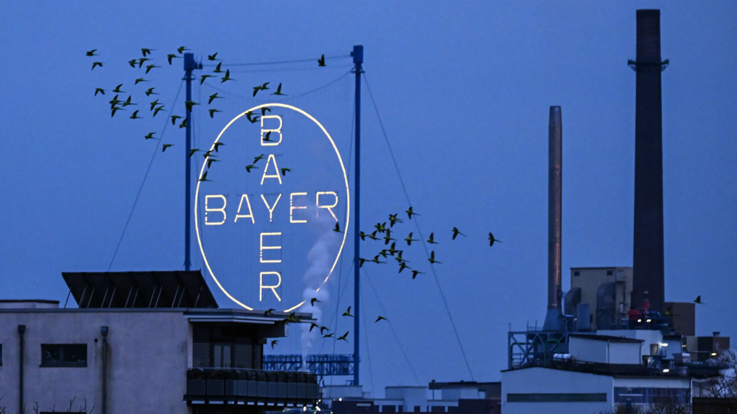 Analyst: "Das Aufatmen unter dem Bayer-Kreuz ist förmlich zu spüren"