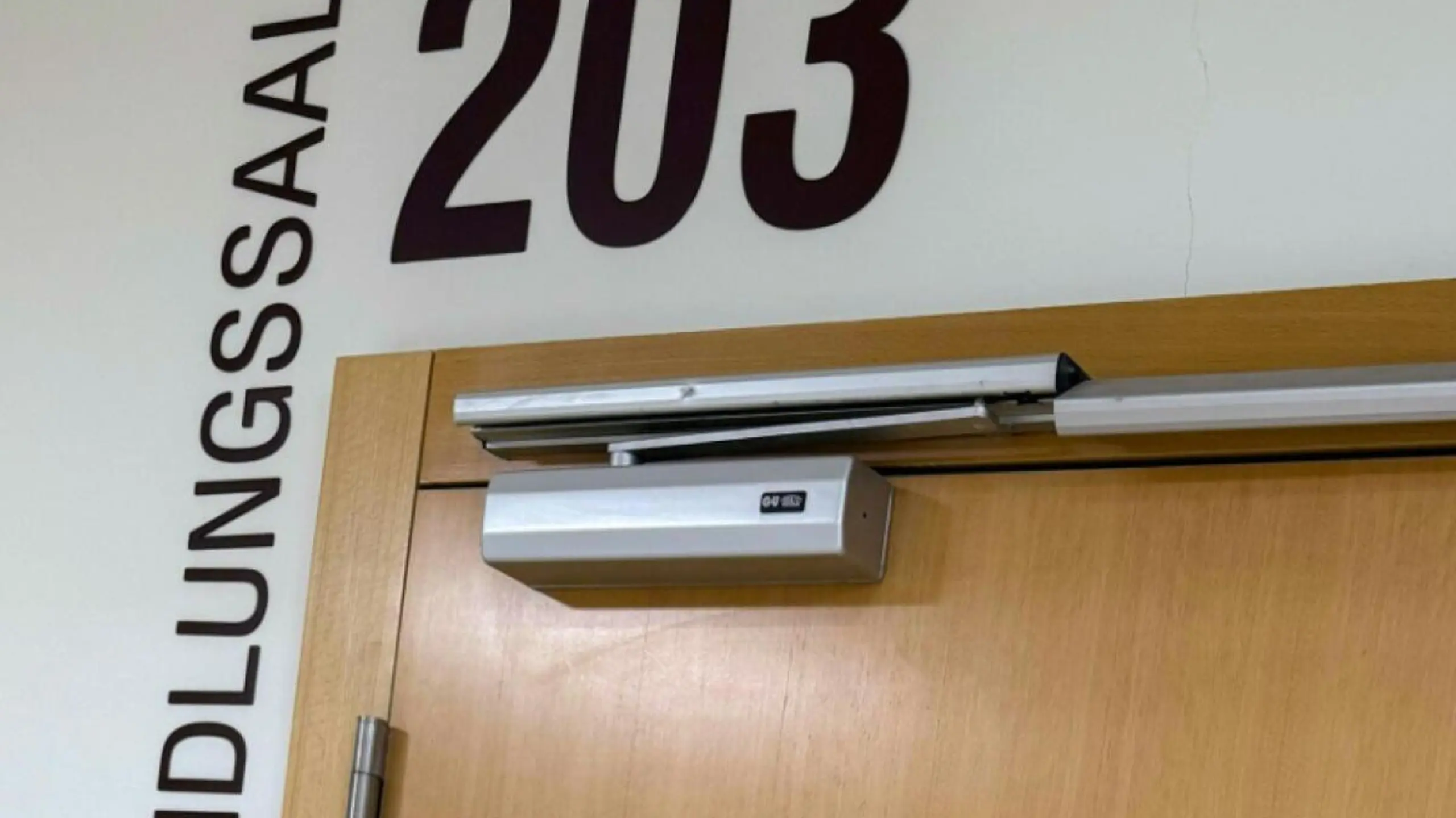 Ein bekannter Rechtsextremist steht am Landesgericht Wien vor Gericht