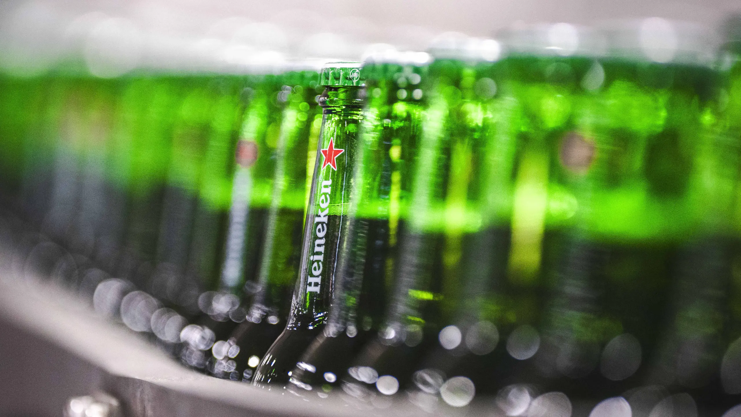 © APA/AFP/ANP/Freek VAN DEN BERGH Artikelbild