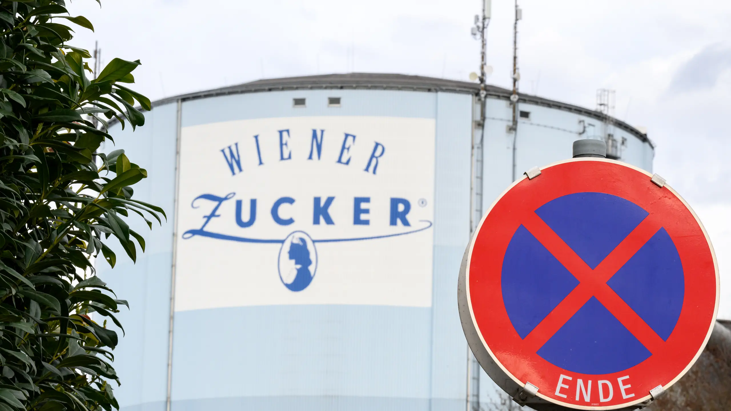 © APA/MAX SLOVENCIK Artikelbild