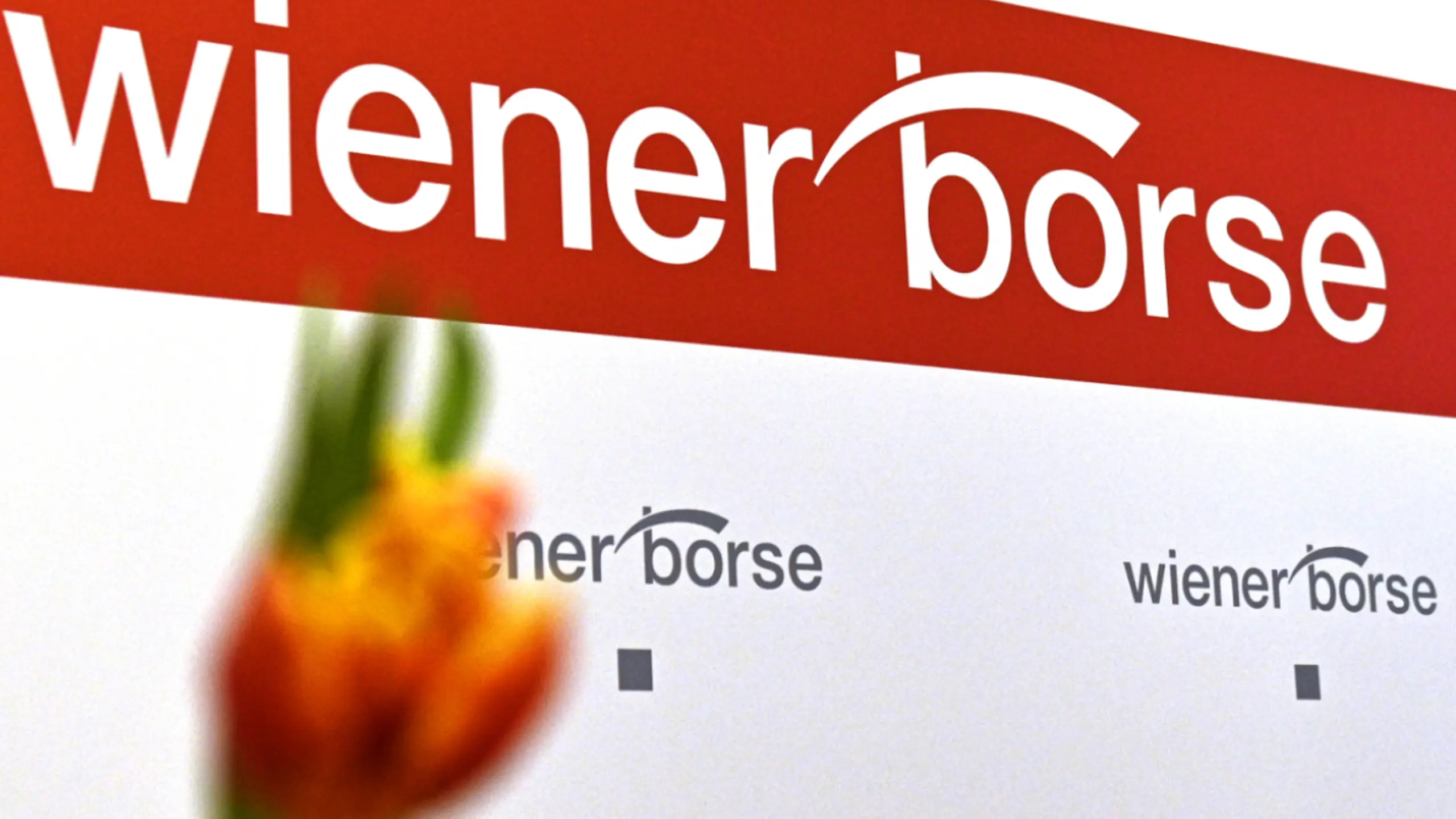 © APA/APA/THEMENBILD/HANS PUNZ Wiener Börse zum Wochenauftakt mit Verlusten