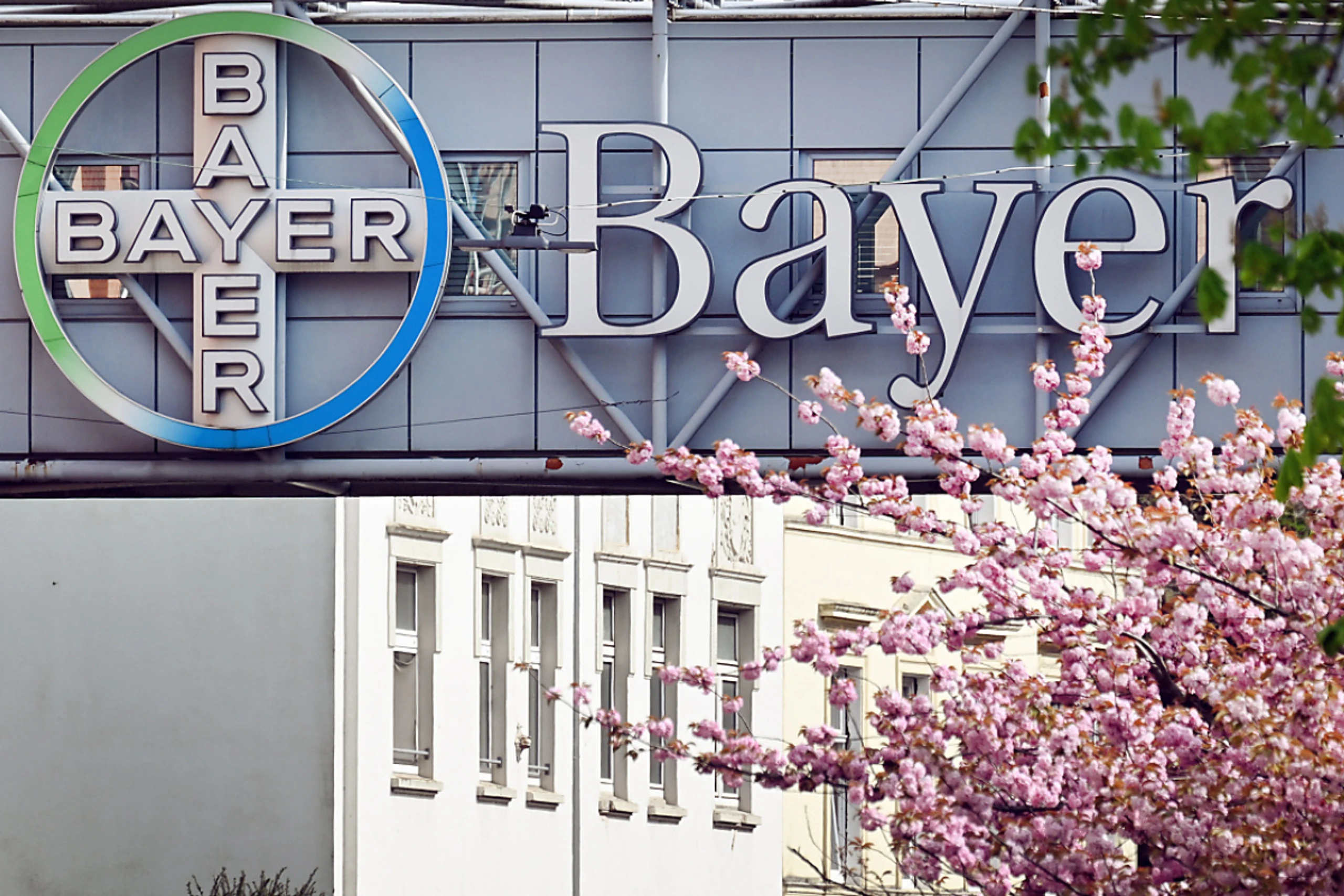 Anwaltskanzleien fordern Verschiebung der gerichtlichen Prüfung