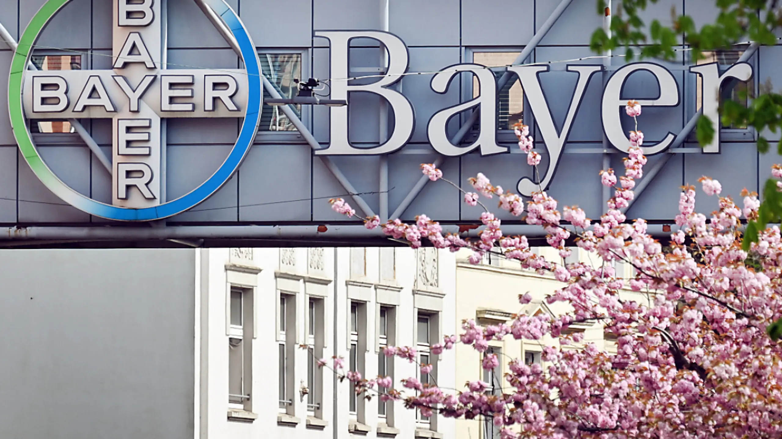 © APA/APA (AFP)/INA FASSBENDER Anwaltskanzleien fordern Verschiebung der gerichtlichen Prüfung