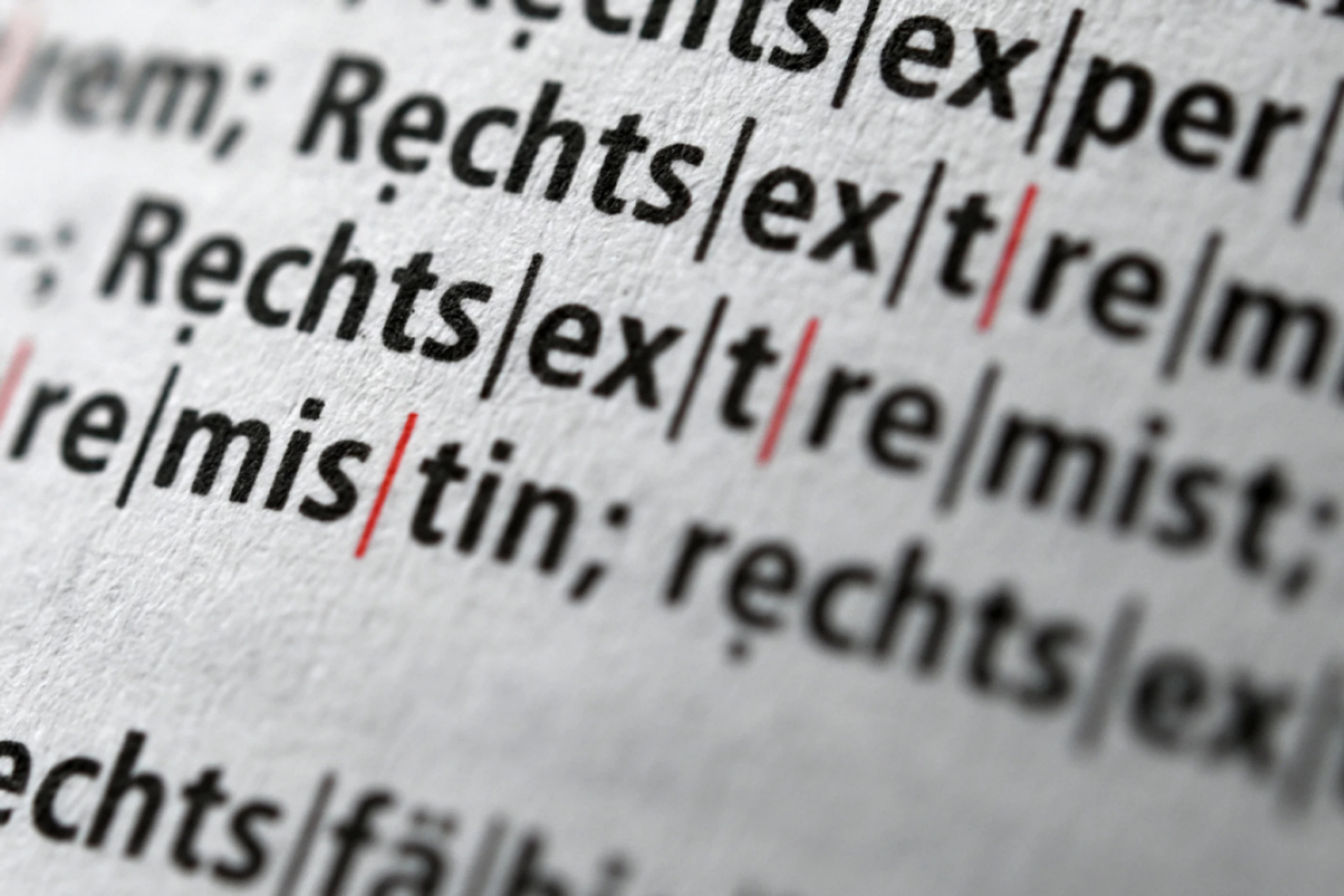 Rechtsextreme Straftaten nehmen seit ein paar Jahren wieder zu