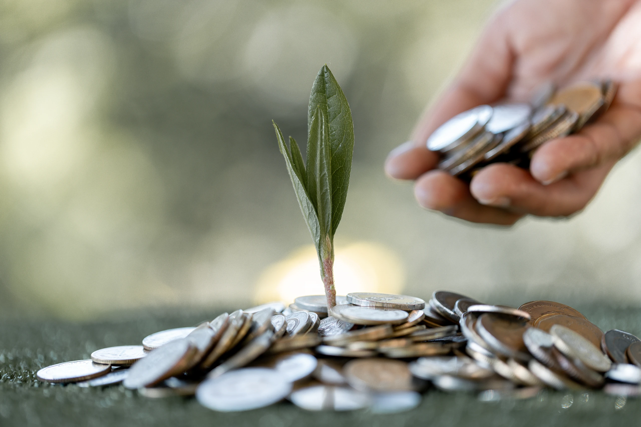 Alternative Unternehmensfinanzierung: Attraktive Ertragsmöglichkeiten für private Investoren