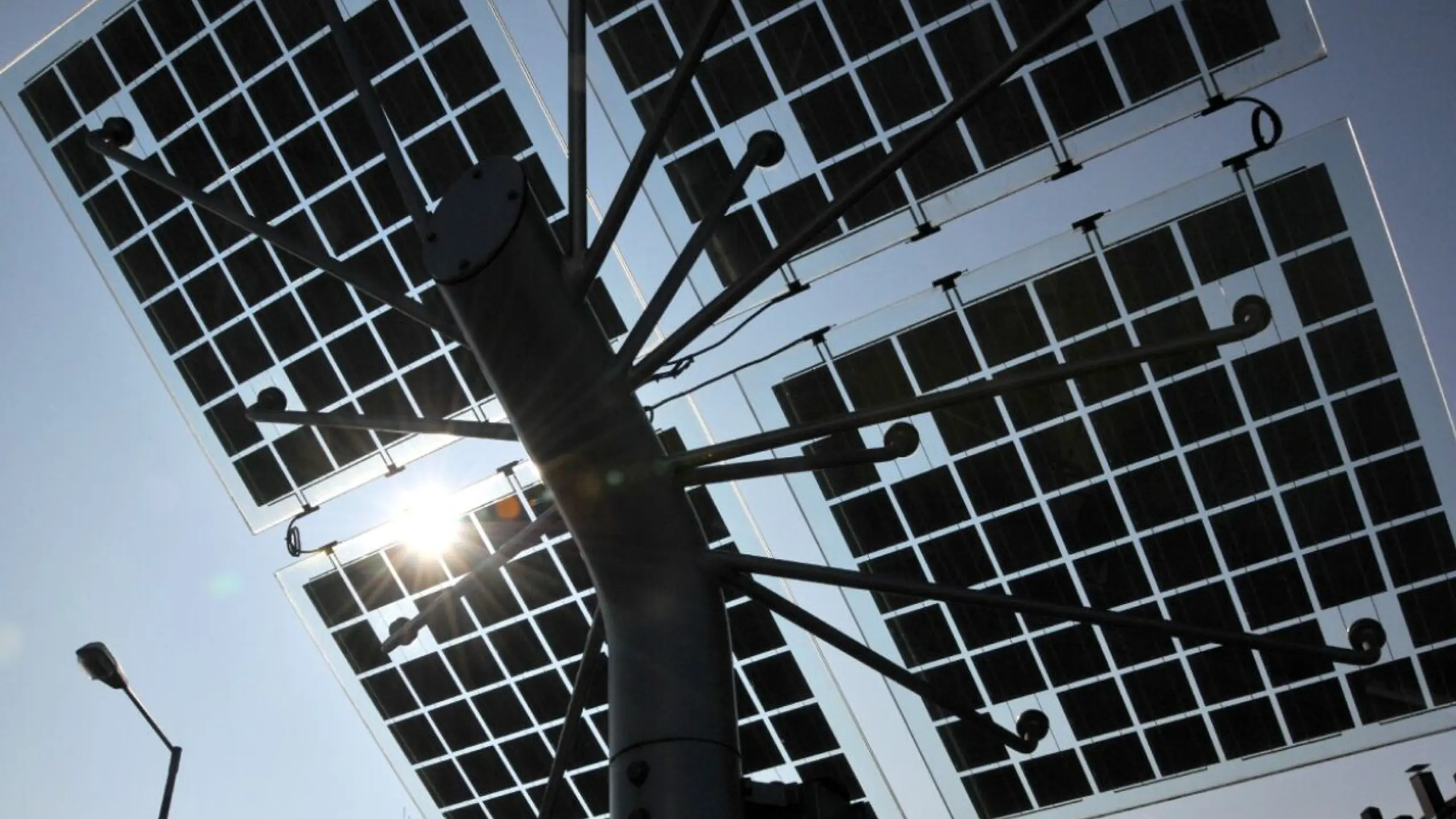 © APA/APA/dpa/A3295 Uwe Zucchi MSA Solar will wieder schwarze Zahlen schreiben