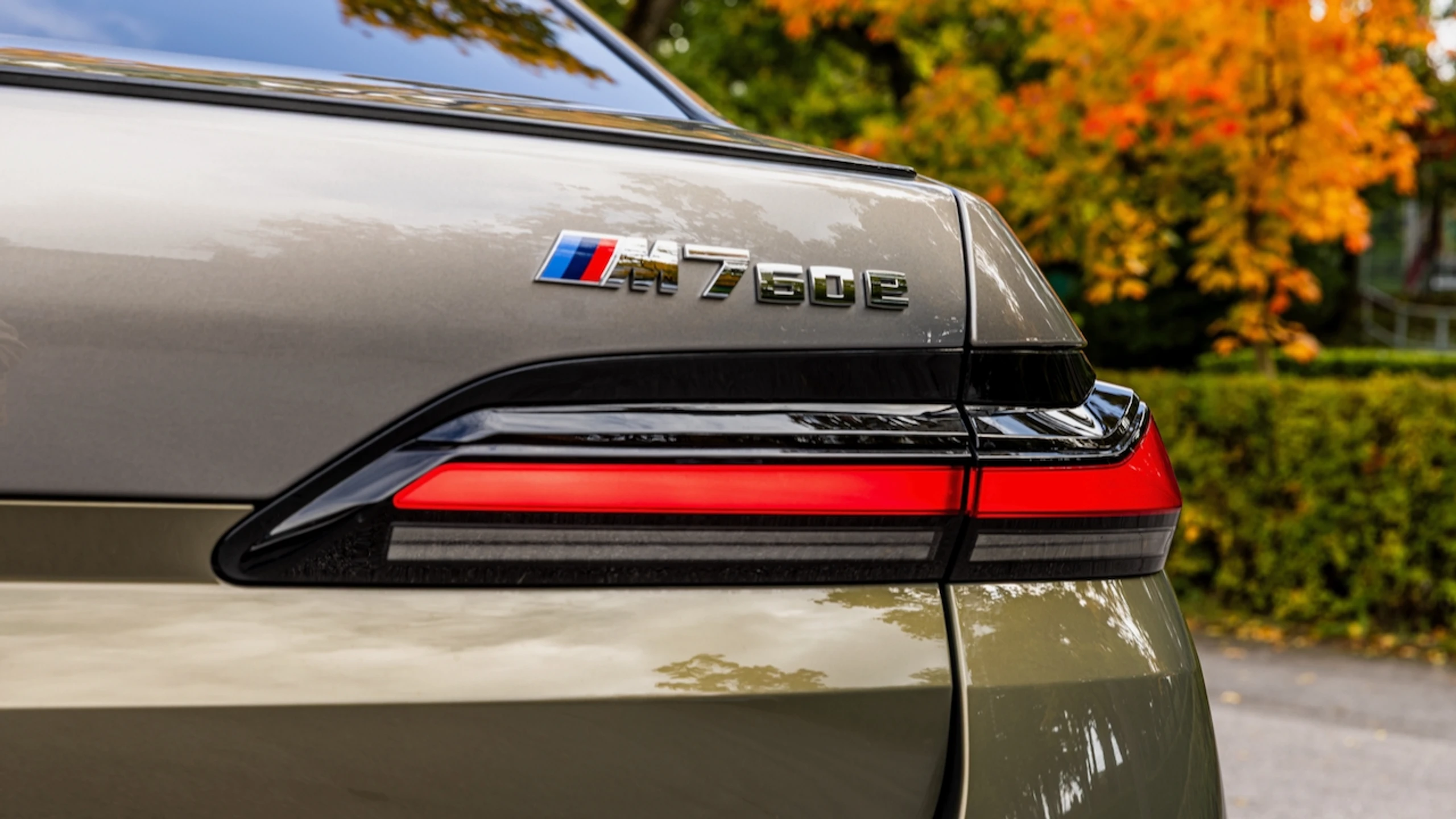 © Andreas Riedmann Bild