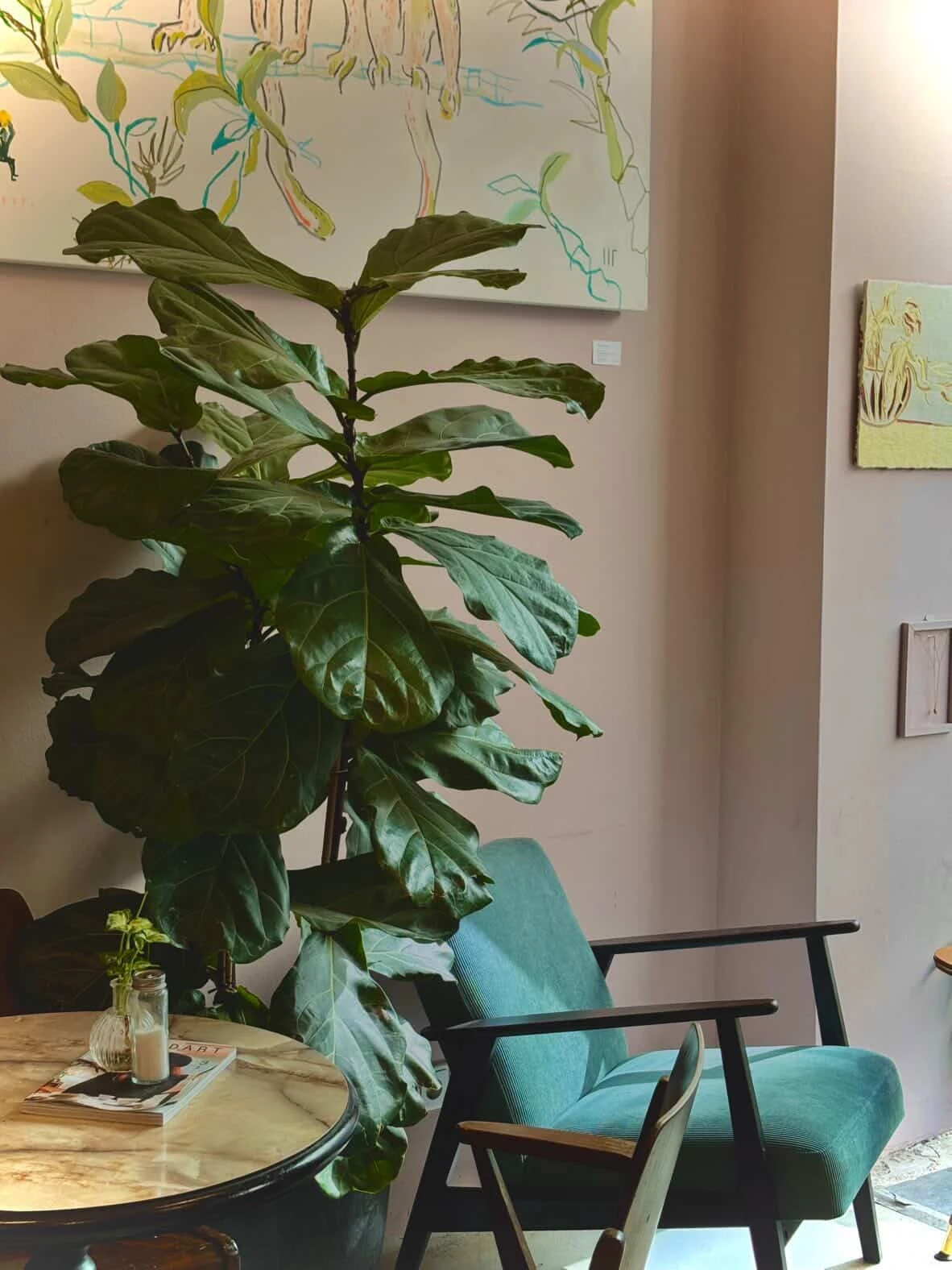 Innenraum mit Ficus Lyrata und Sessel