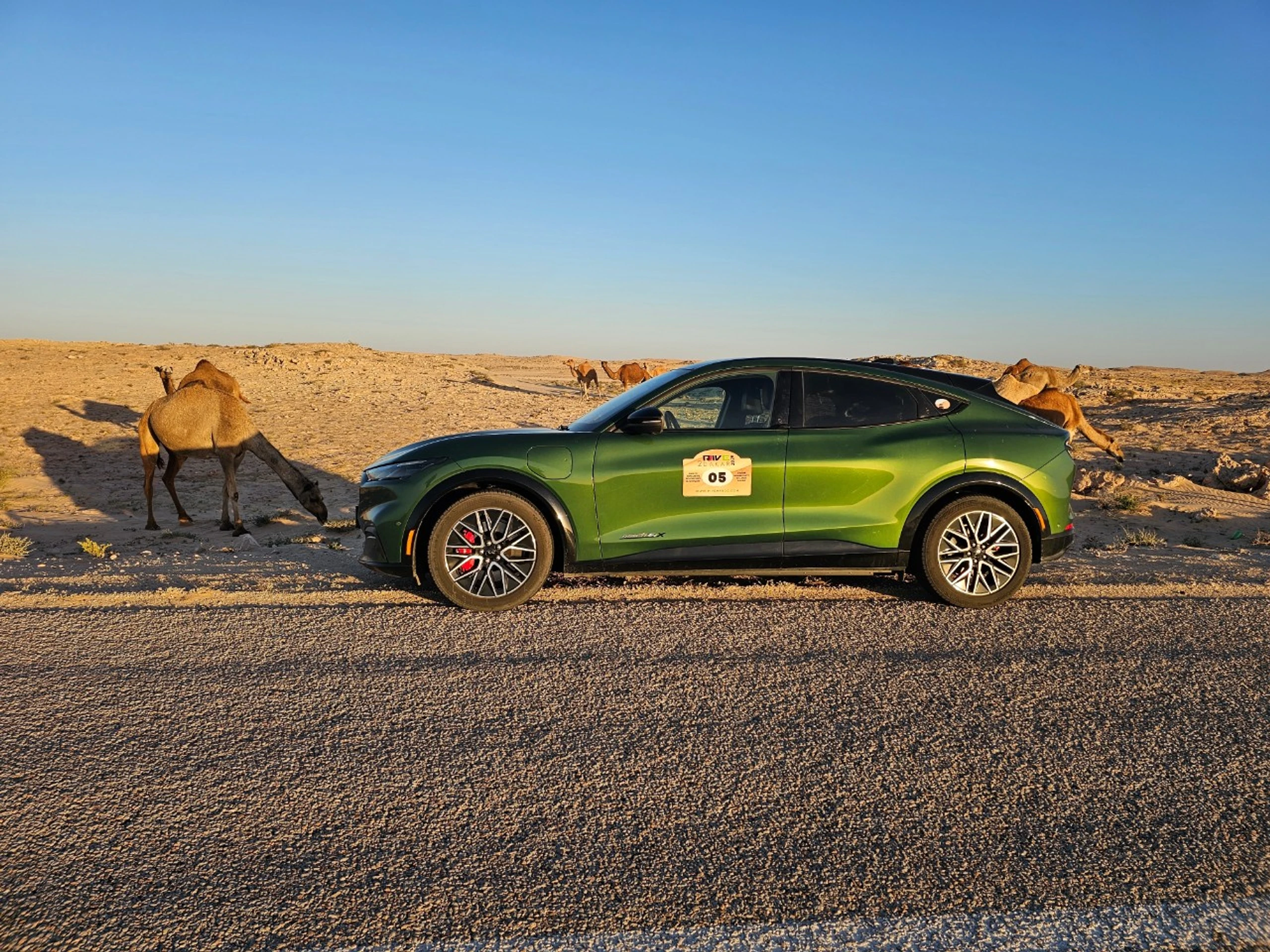 Elektrisch durch die Wüste