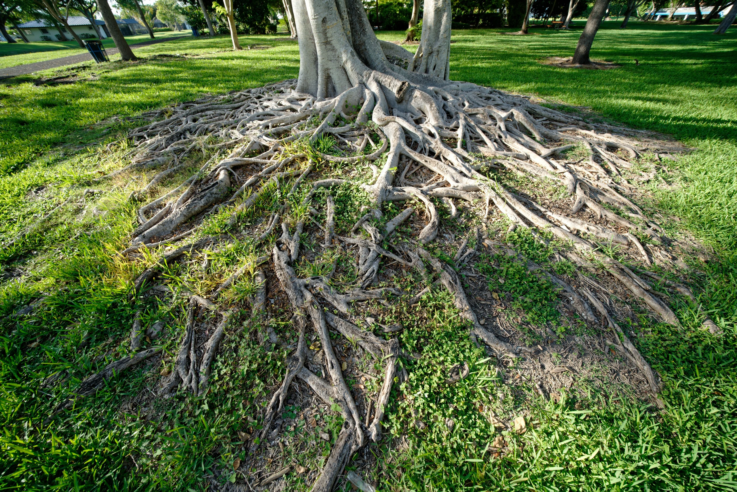 Der Boden entscheidet - Warum Führung dort beginnt, wo niemand hinsieht
