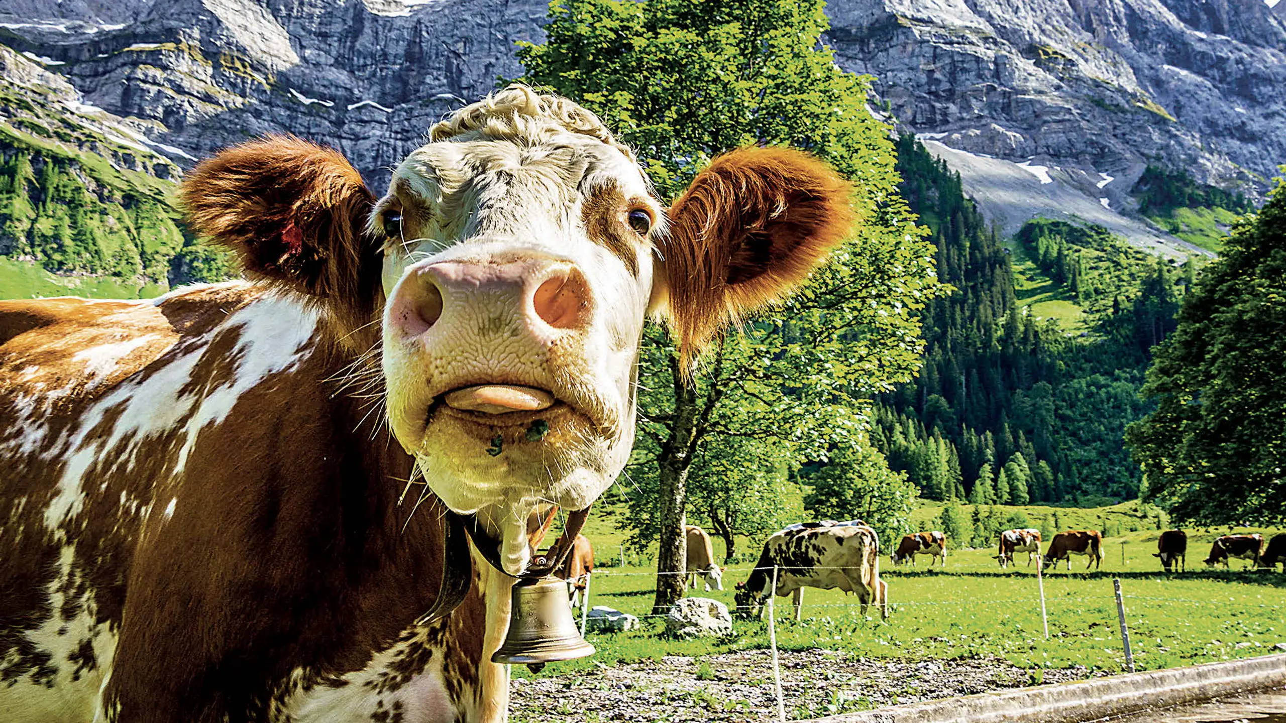 © ISTOCKPHOTO Artikelbild