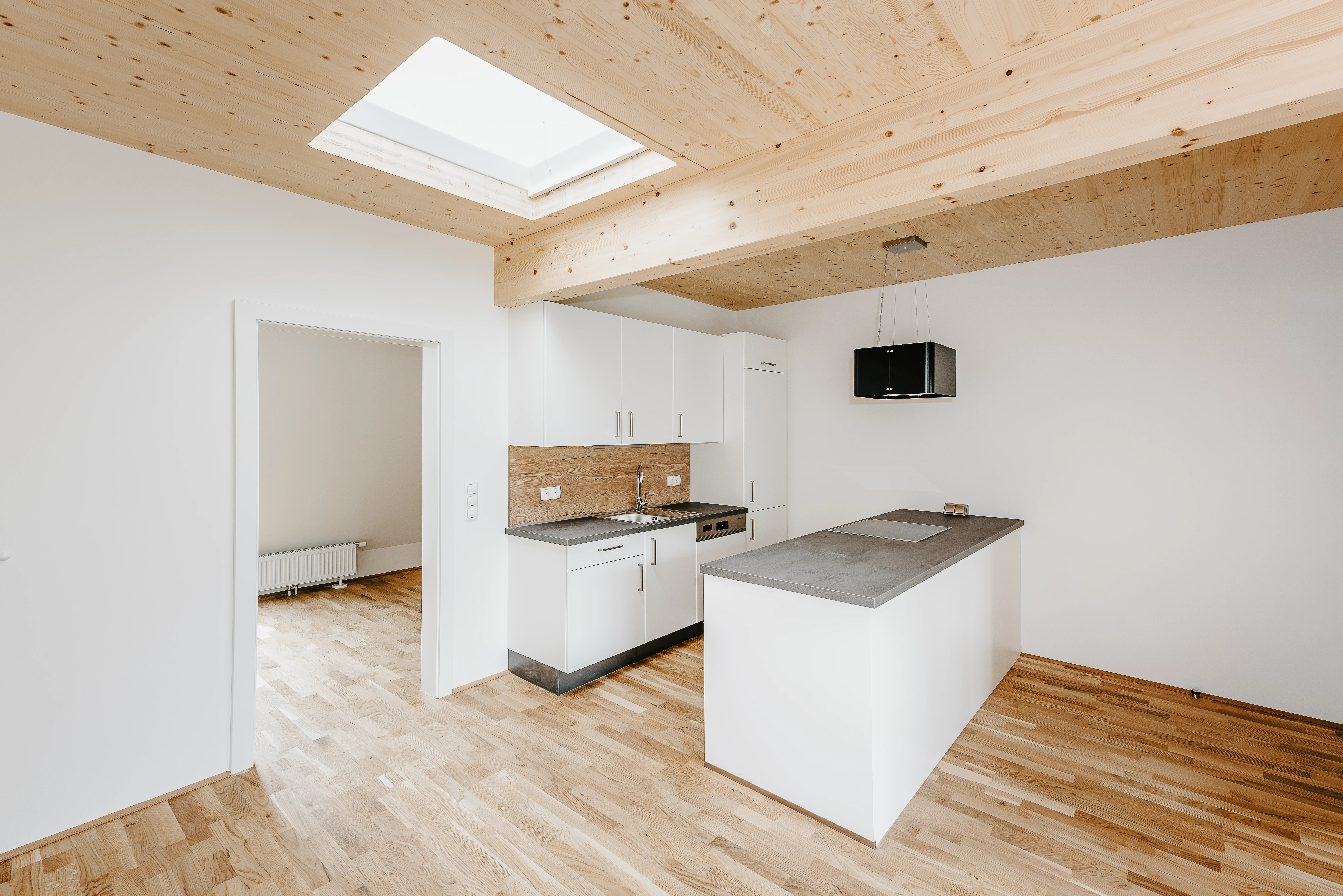 Neubau Wohninvestment mit moderner Küche und heller Holzdecke