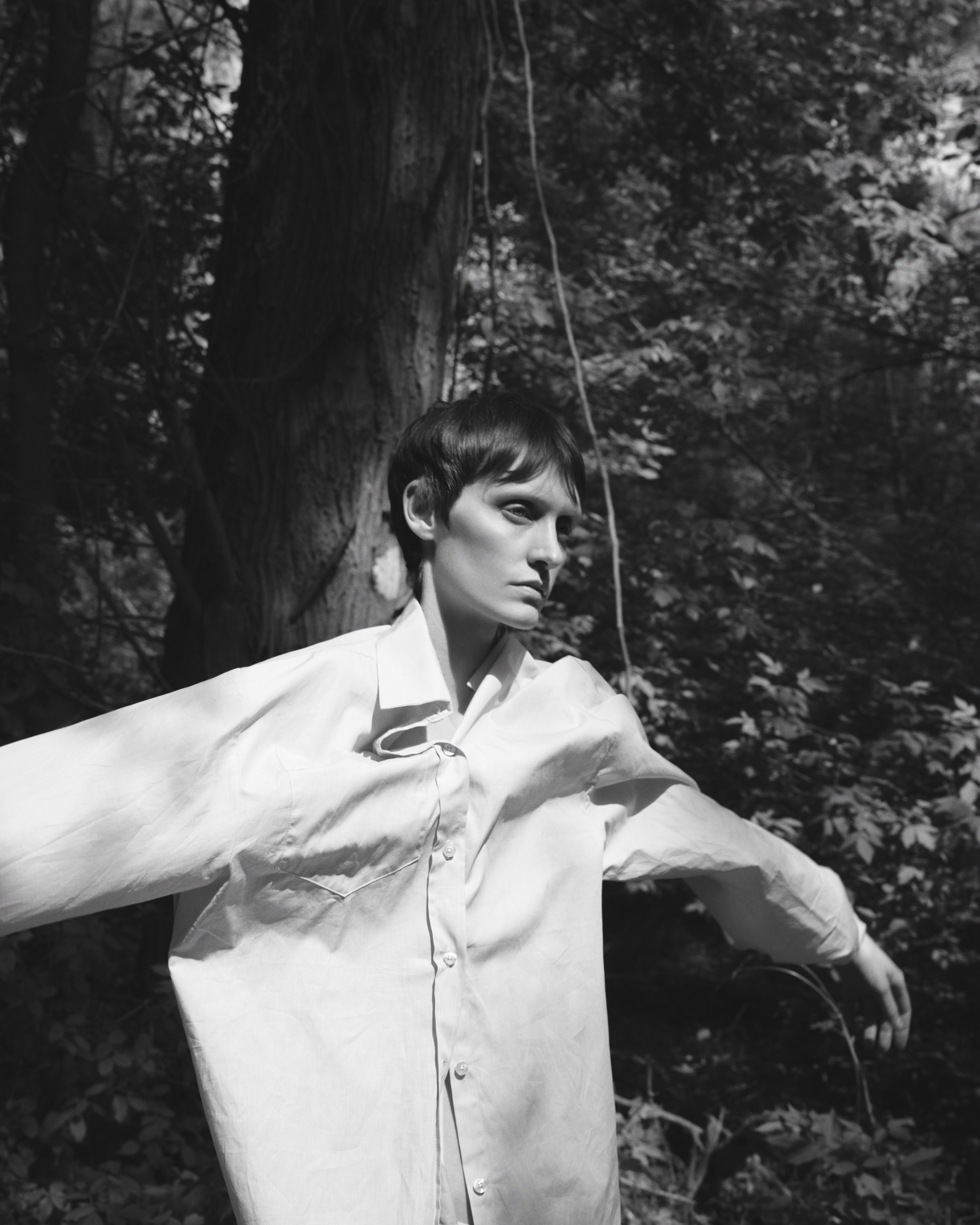 Blurred image background