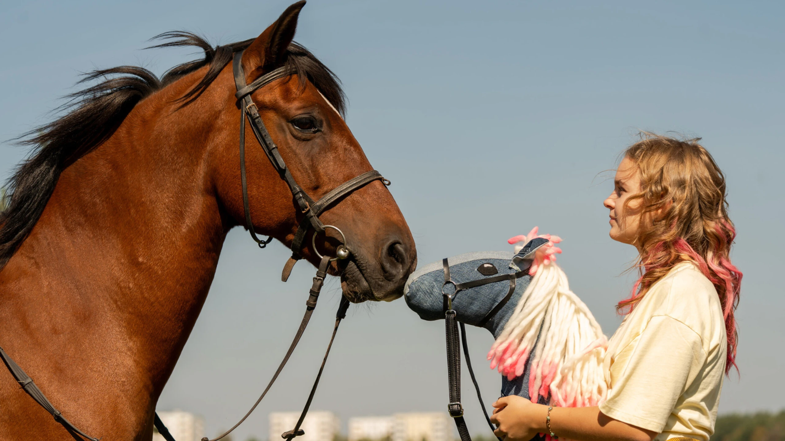 Szene aus dem Film Pferd am Stiel