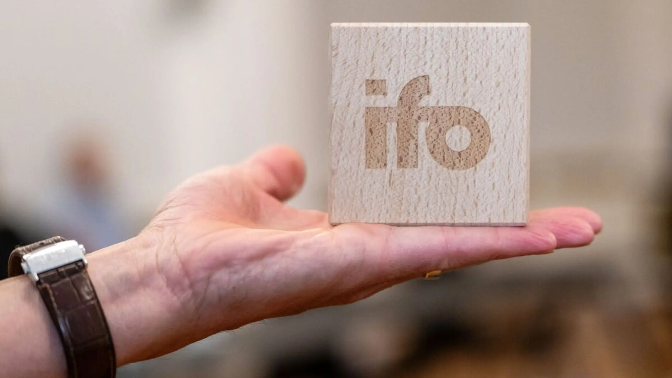 © DPA, Leonie Asendorpf, Apa ++ ARCHIVBILD ++ Für Ifo-Institut noch zu früh, um von echter Trendwende zu sprechen