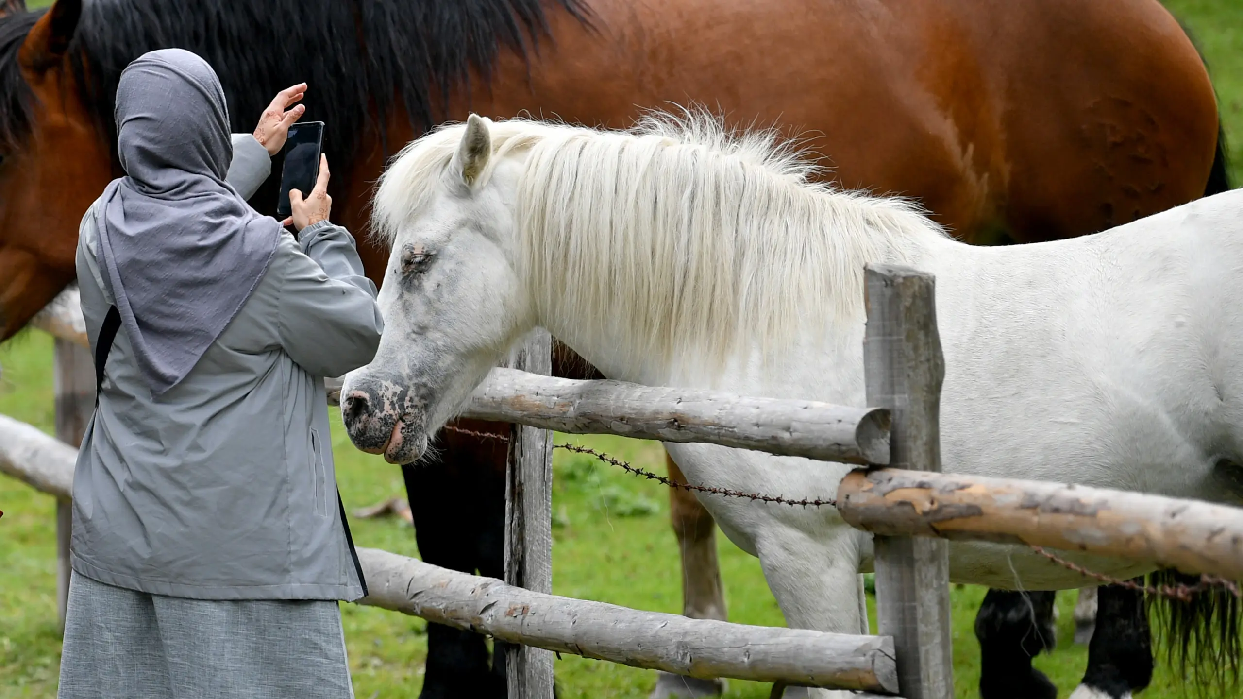 © APA/BARBARA GINDL Artikelbild