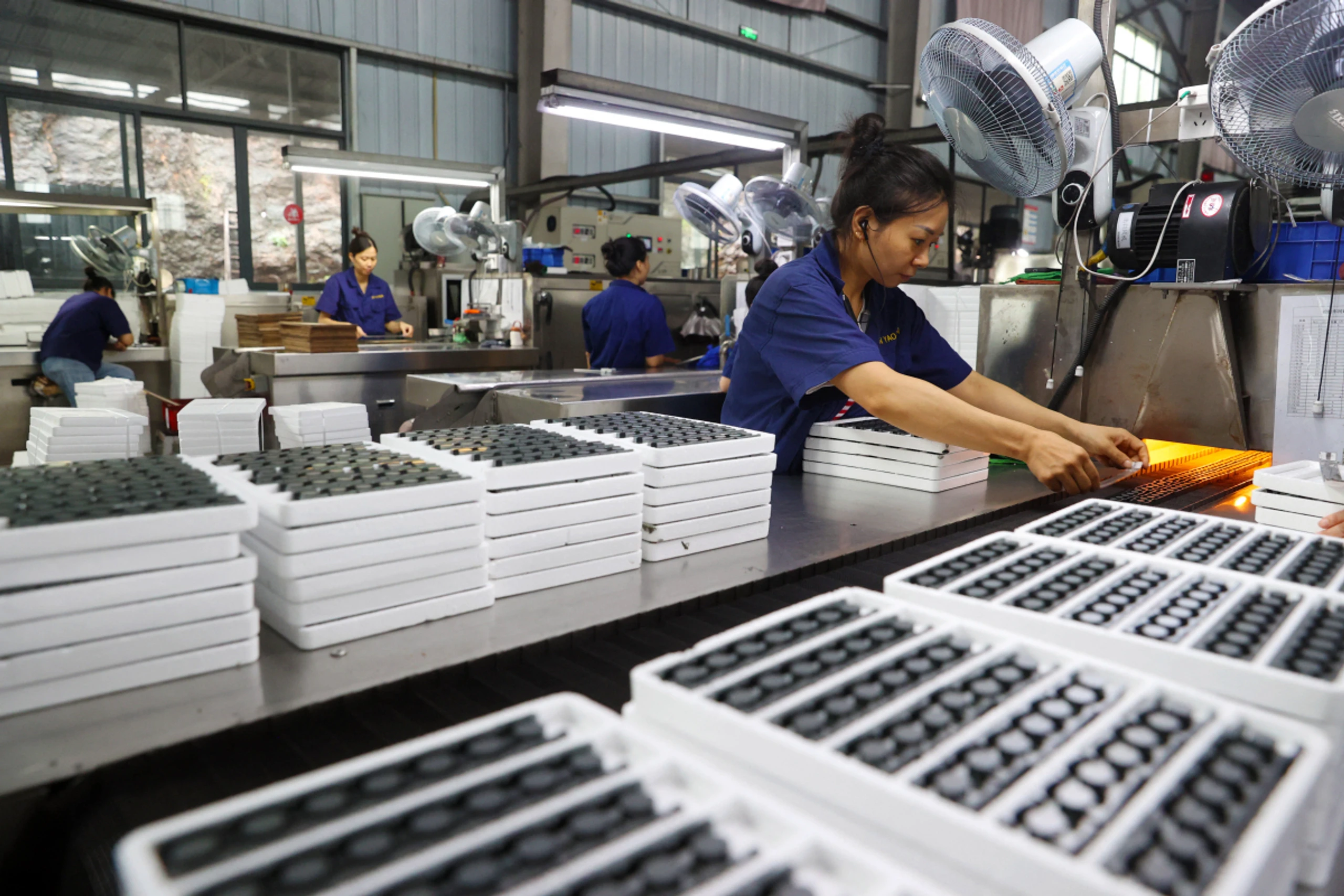 Hesteller von Computern oder Elektronikausrüstung wachsen am stärksten