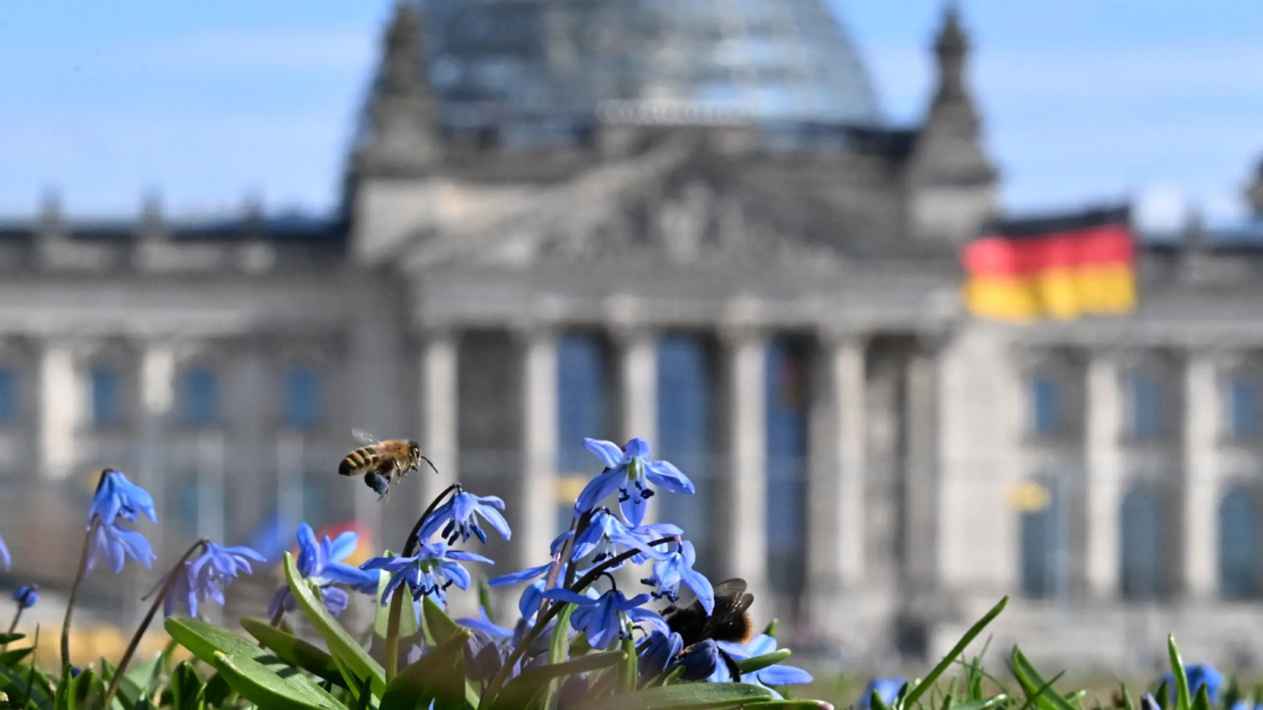 Der Iran-Krieg dämpft die aufkeimende Erholung