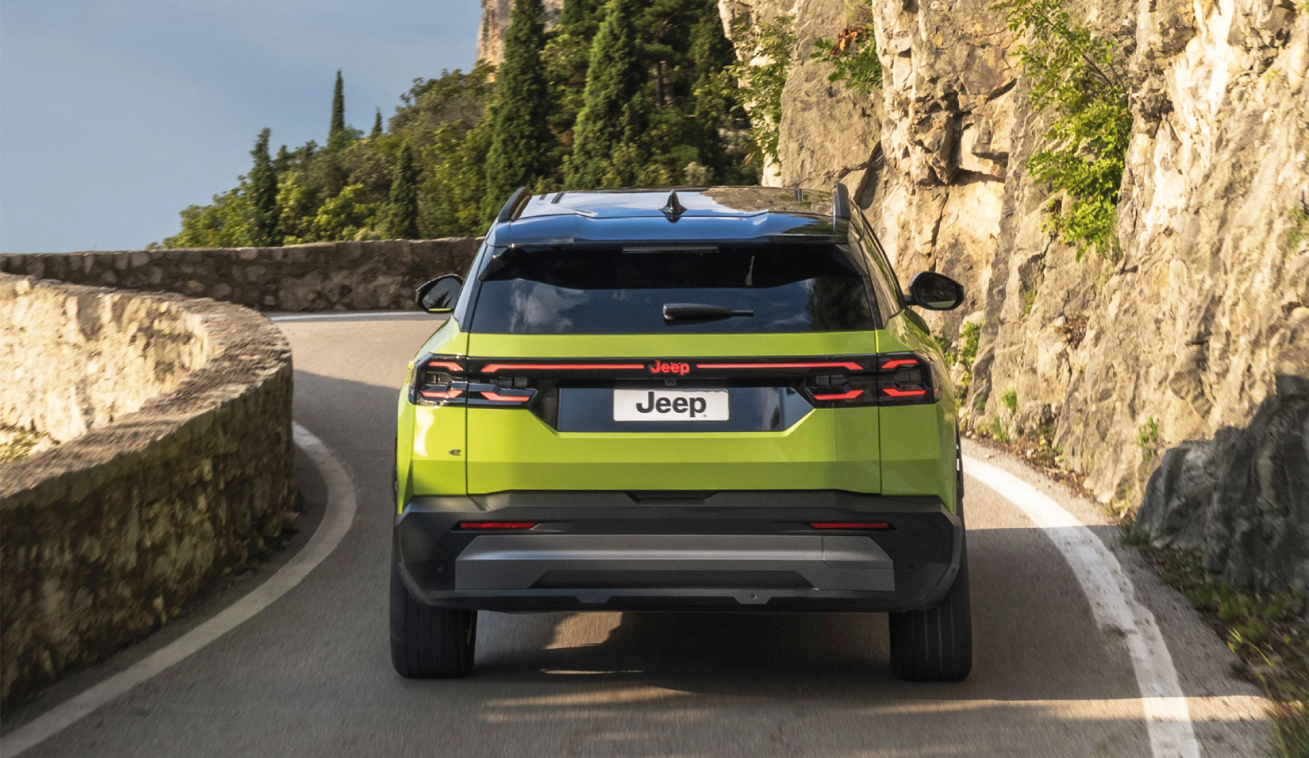 Blurred image background