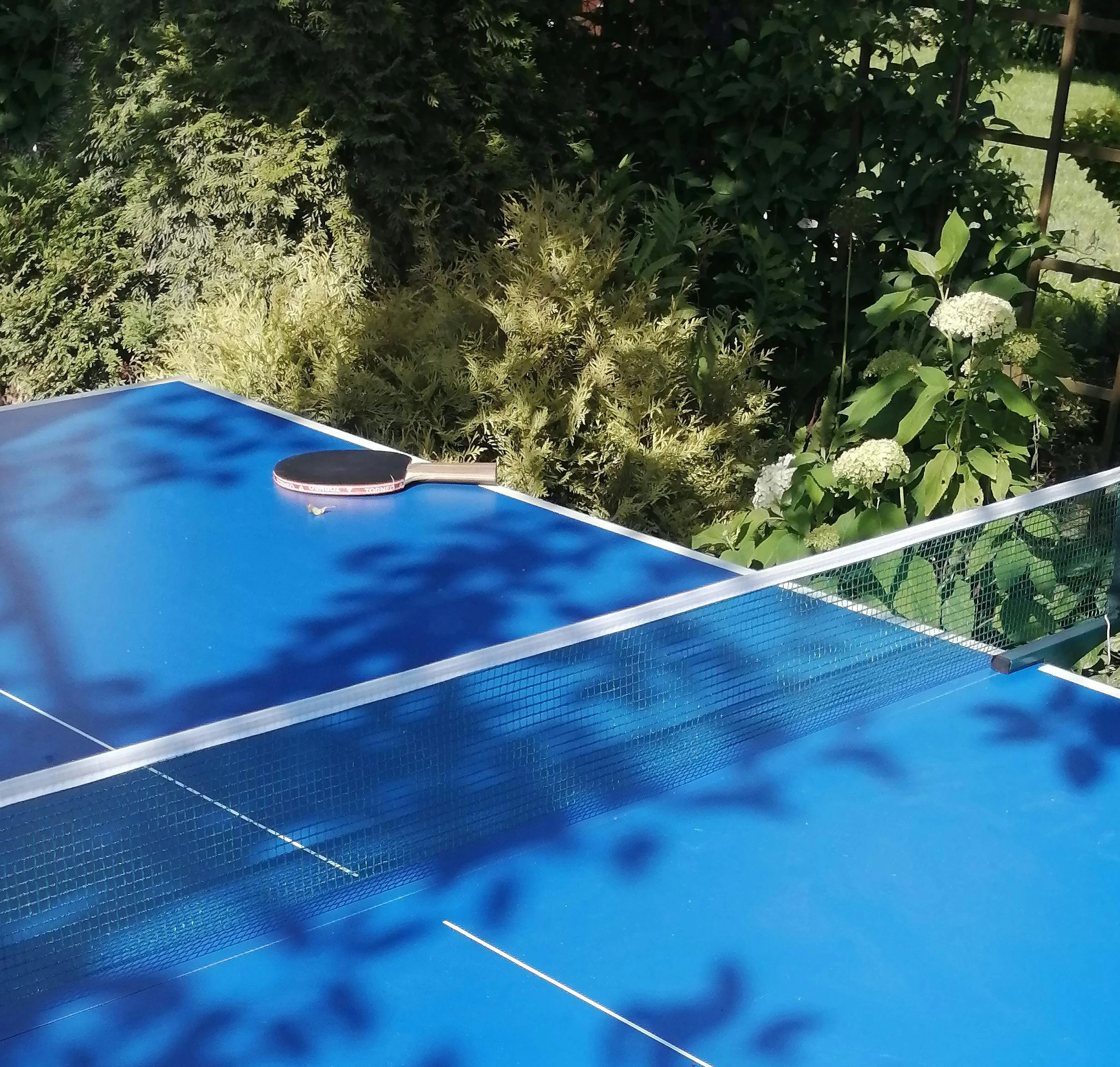 Tischtennisplatte mit Schläger im Garten