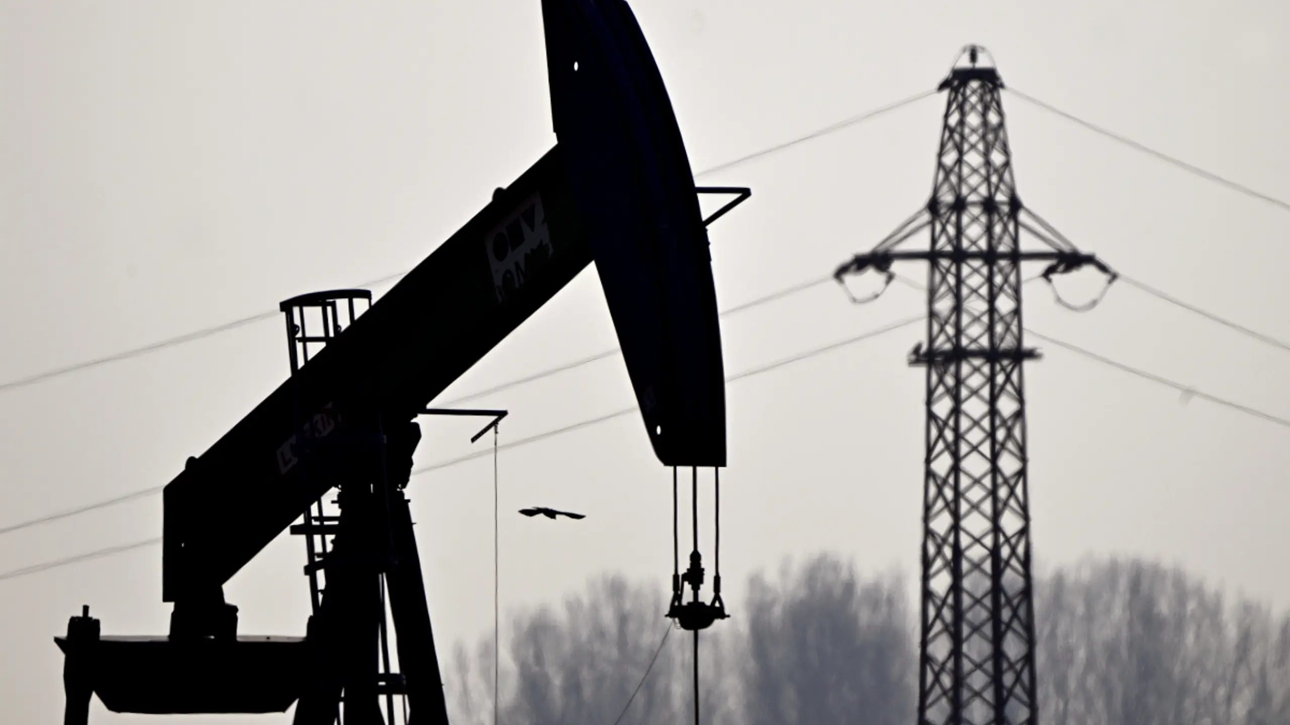 Hohe Energiepreise dürften das Wirtschaftswachstum bremsen