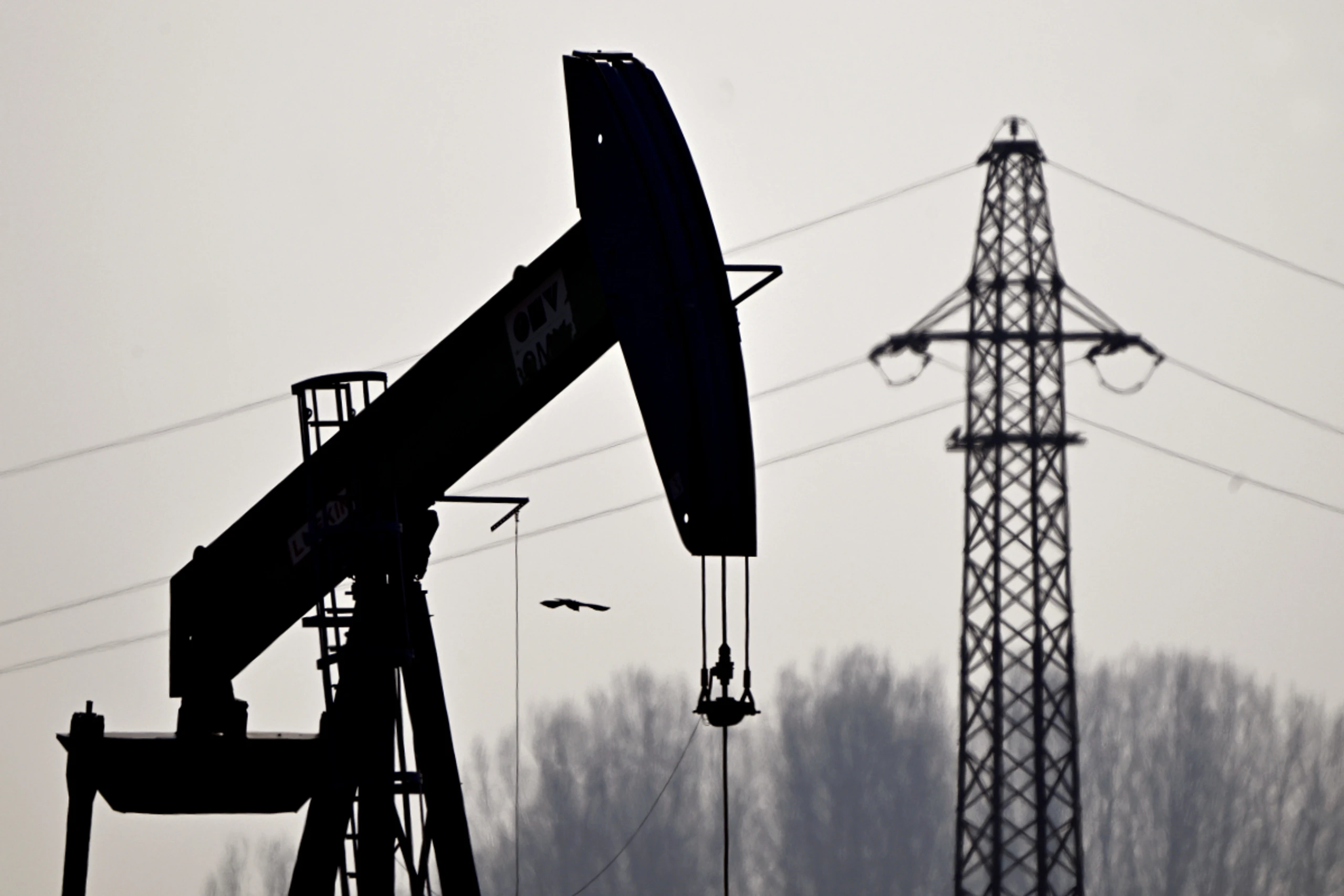 Hohe Energiepreise dürften das Wirtschaftswachstum bremsen