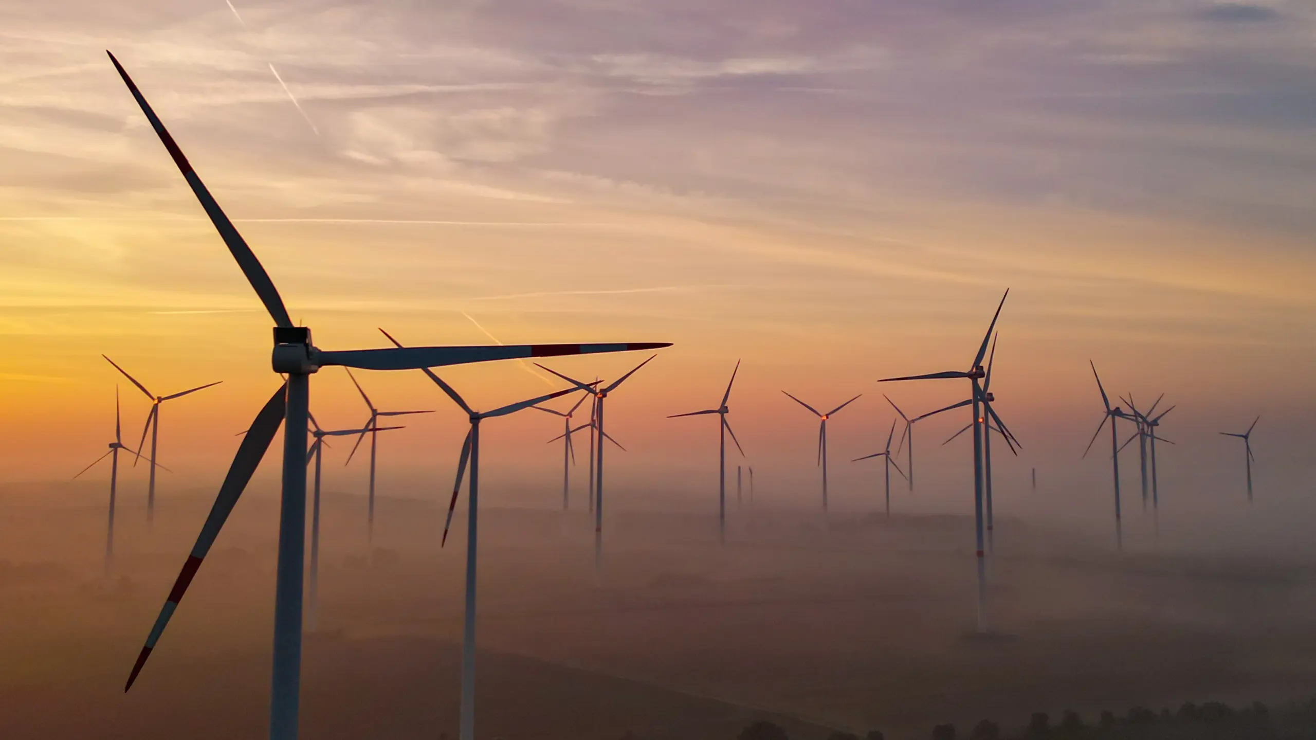 © APA/APA/dpa/Patrick Pleul Artikelbild