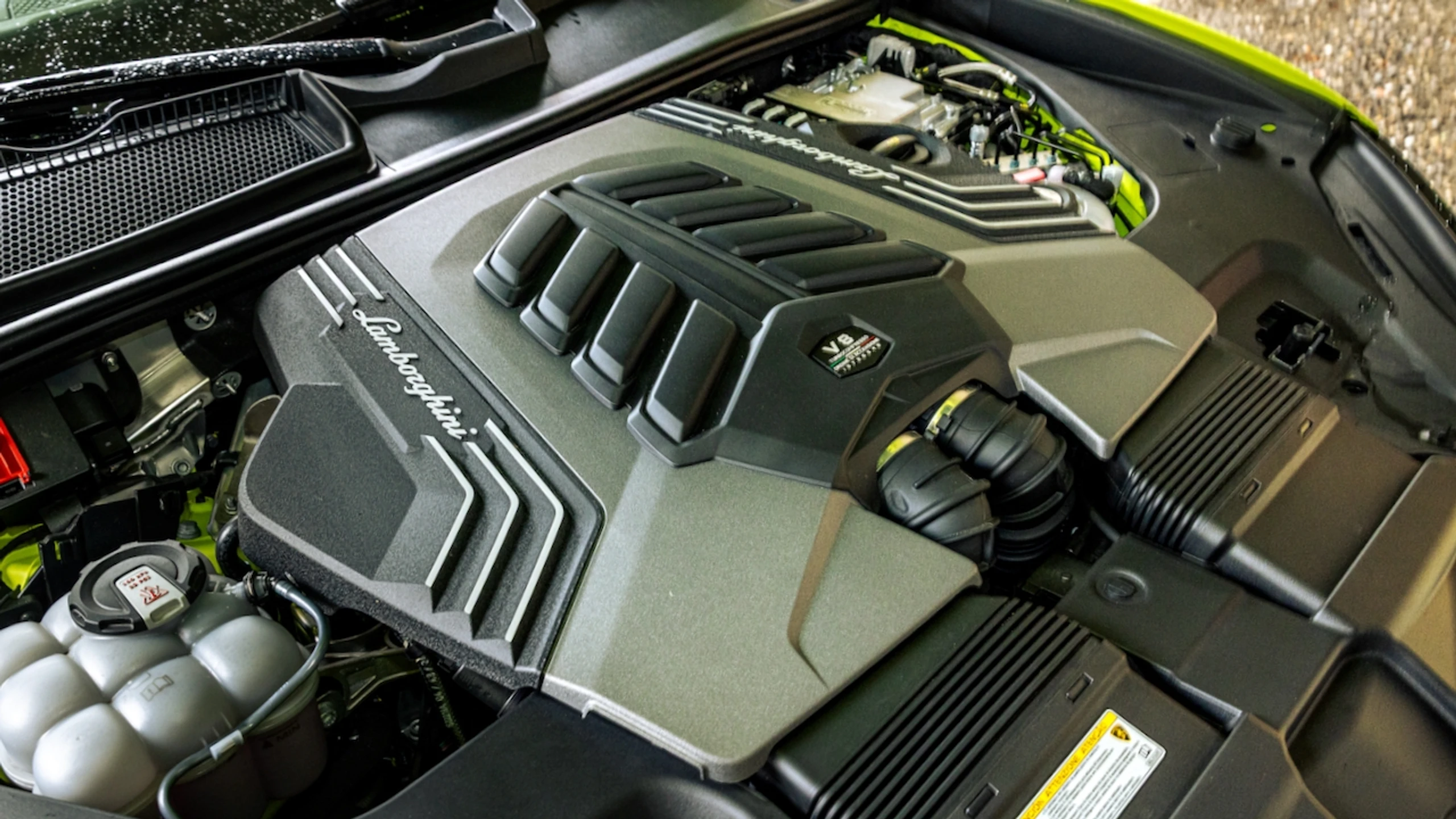 © Andreas Riedmann Bild