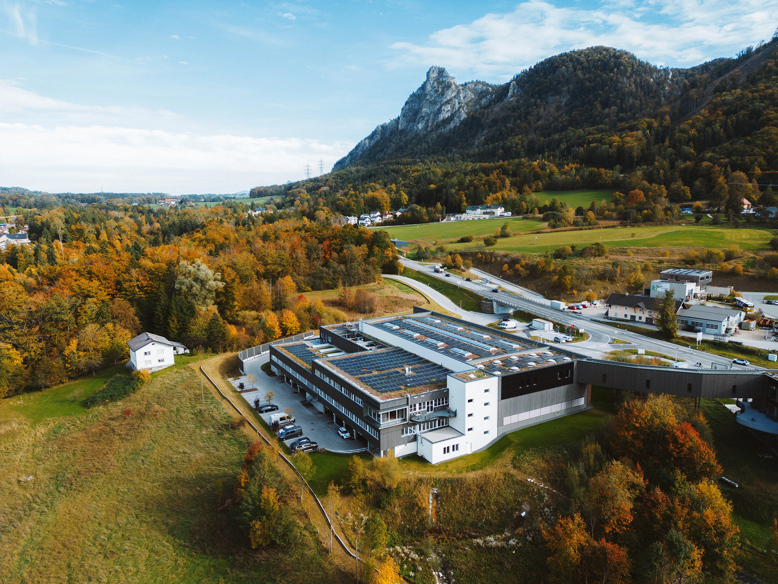 Blurred image background