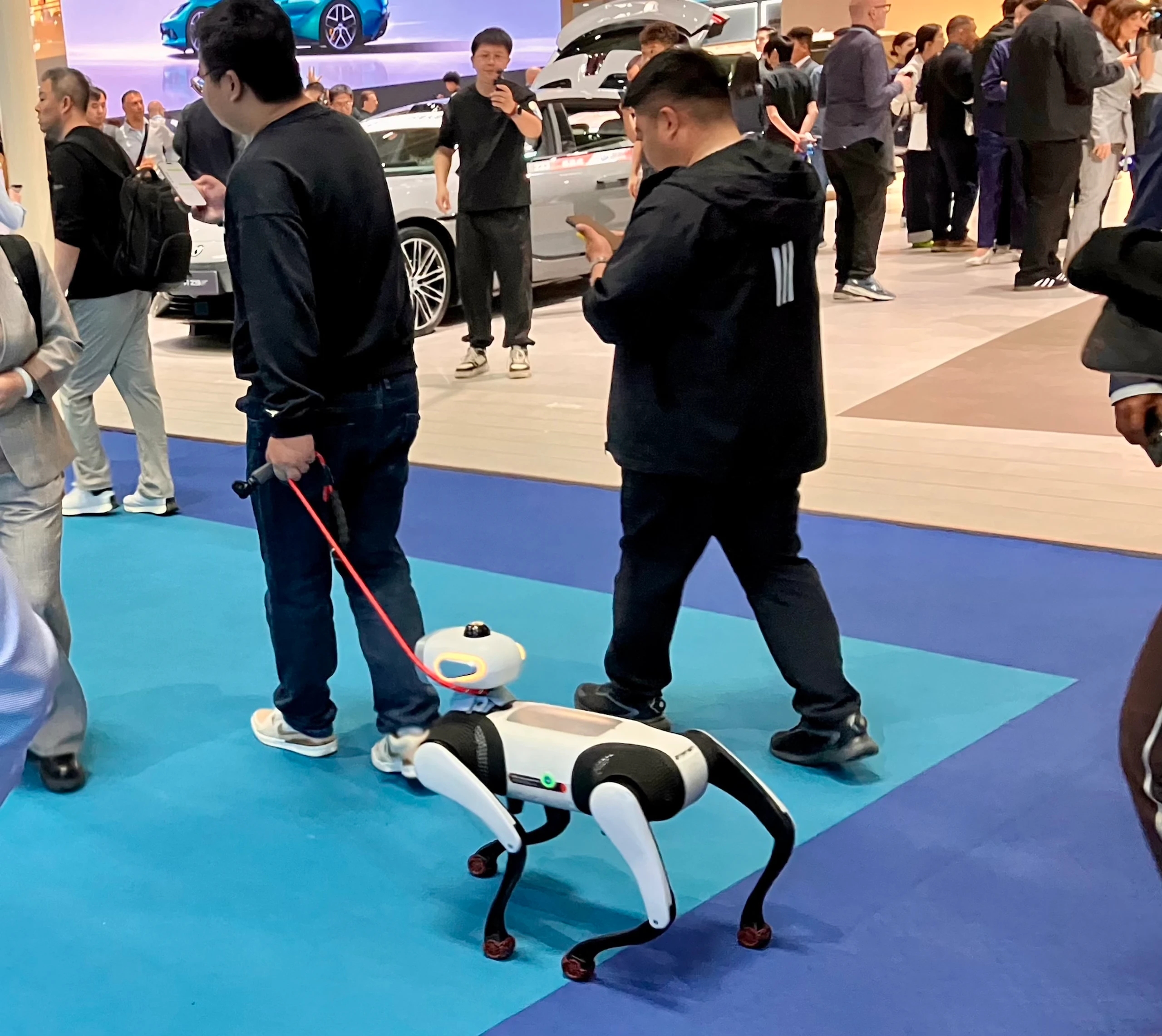 Blurred image background