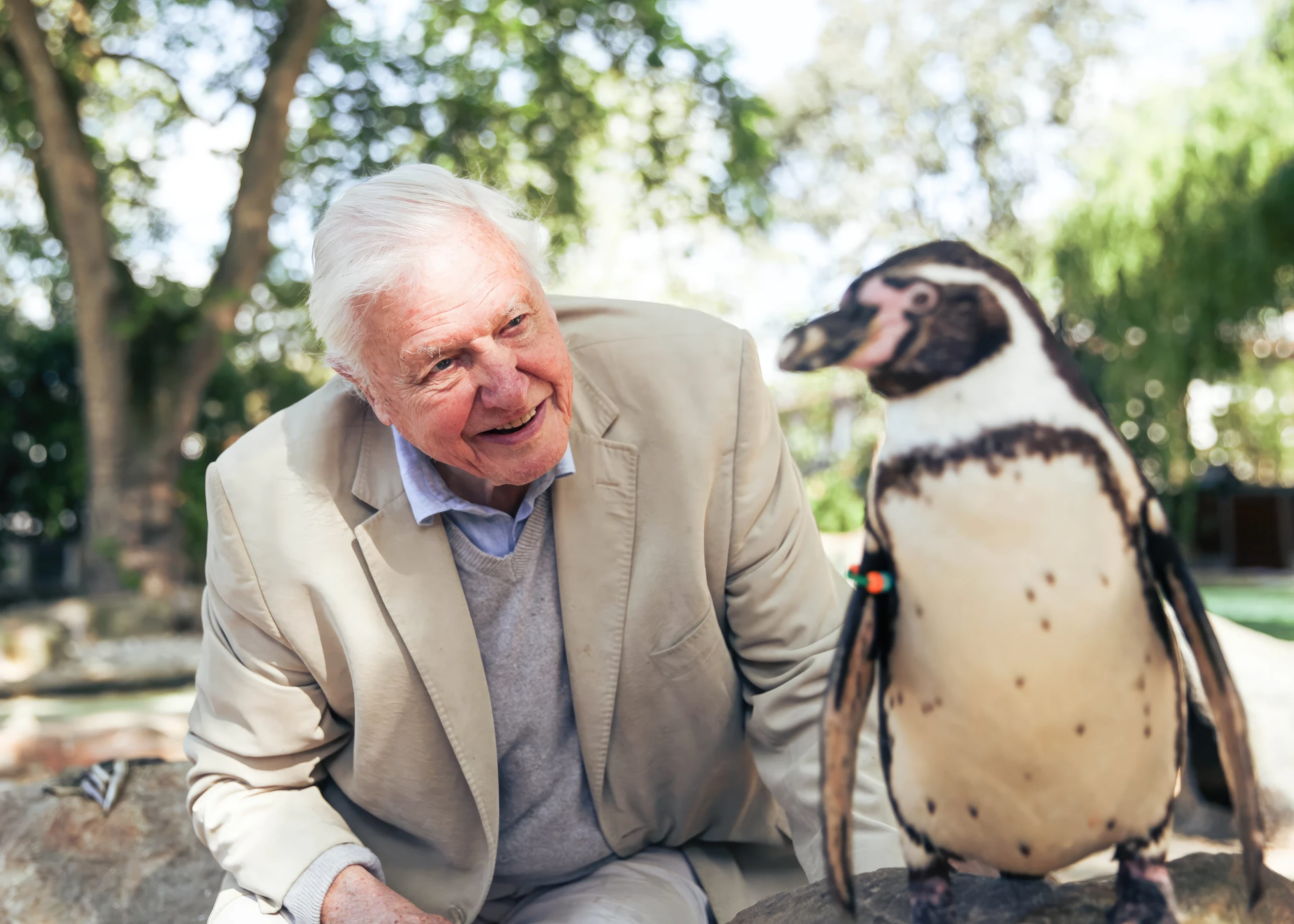David Attenborough wird 100