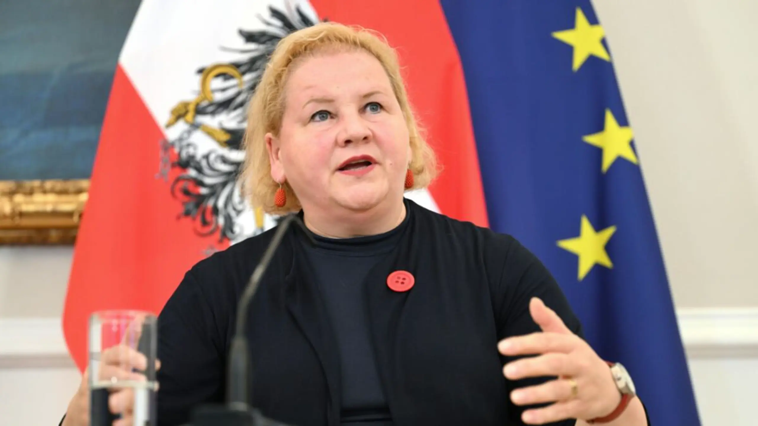 © Apa, HELMUT FOHRINGER Arbeitsministerin Schumann (SPÖ) will das Thema "weiter vorantreiben"