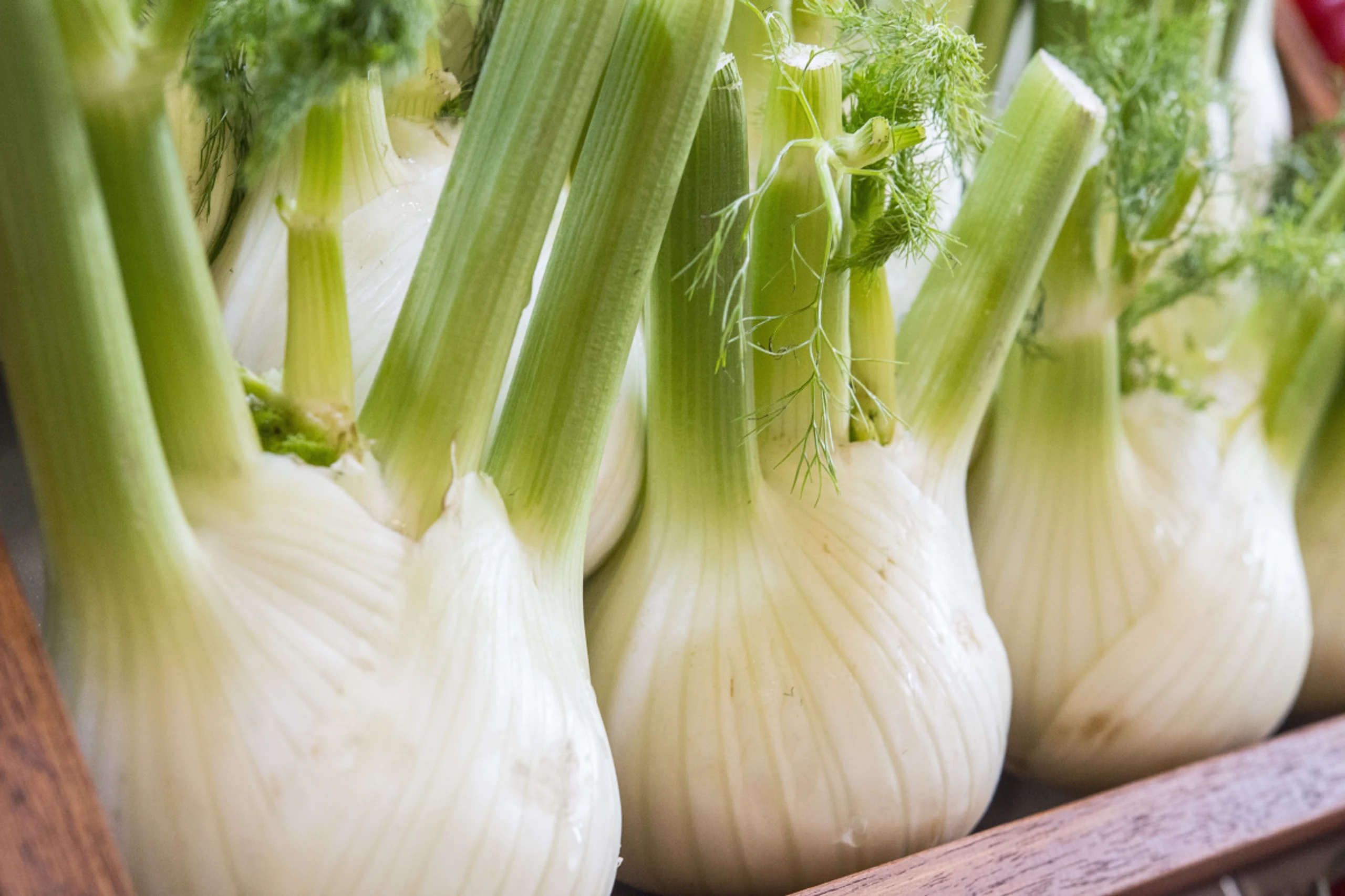 Nicht nur Milchprodukte liefern Kalzium, auch Fenchel ist kalziumreich