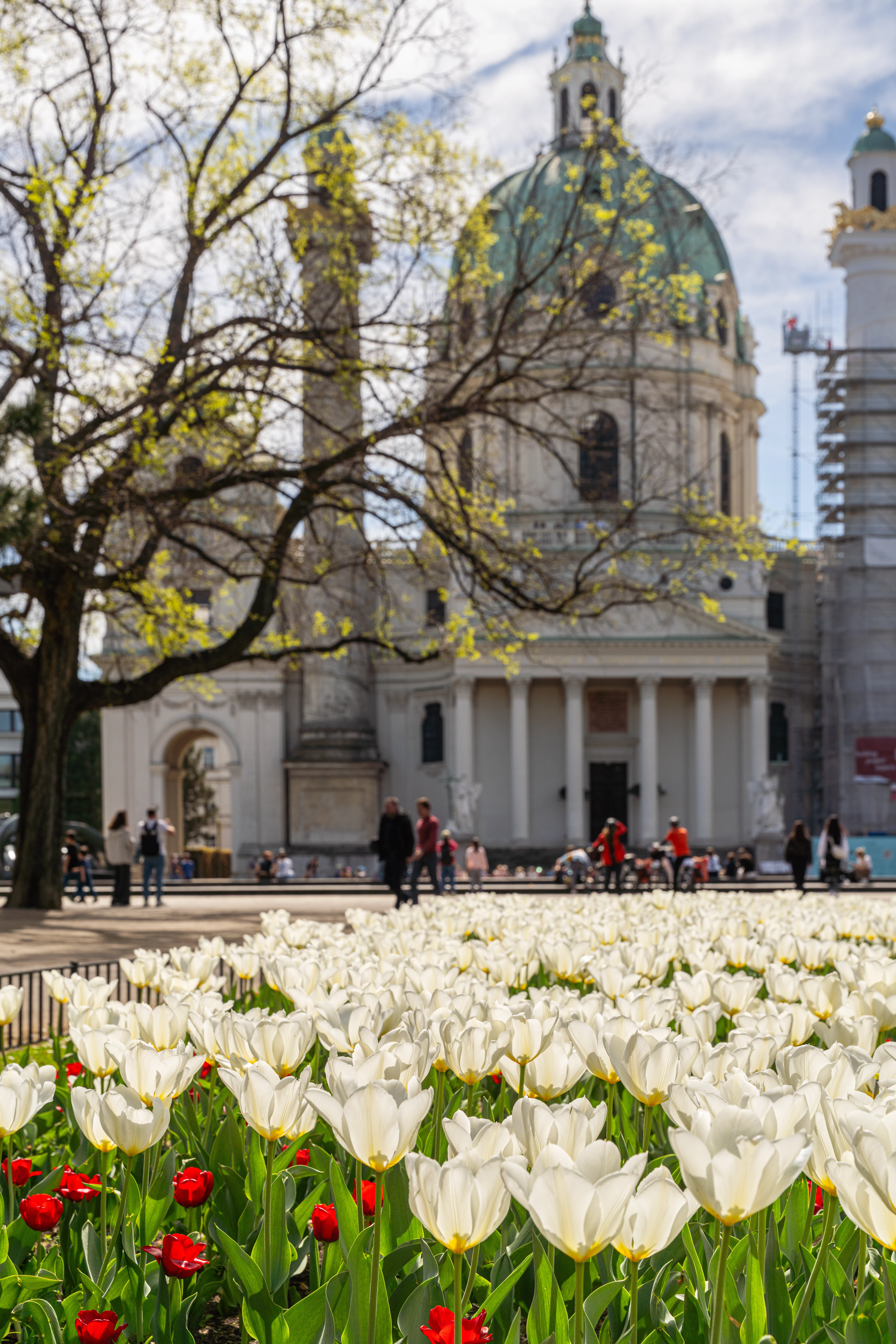 Karlskirche und Karlsplatz in Wien. Barocke Architektur, historisches Wahrzeichen, touristische Attraktion. Kultur und Sightseeing in Österreich.