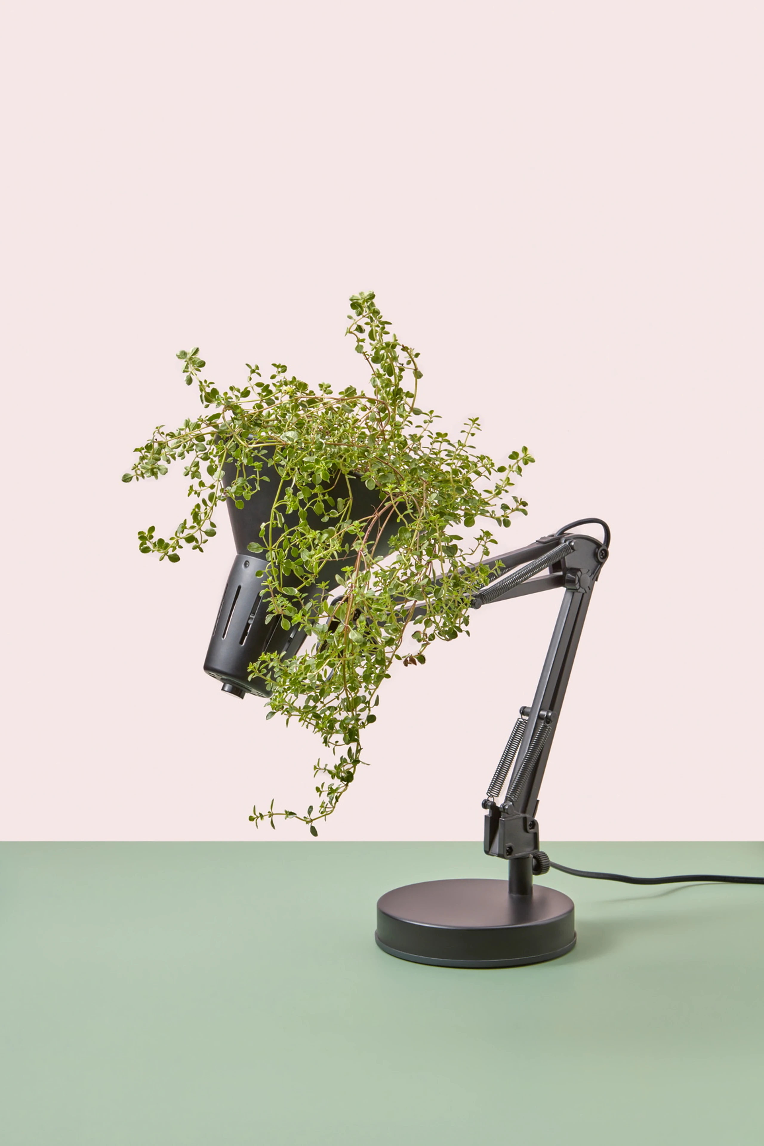 © Stocksy Blurred image background