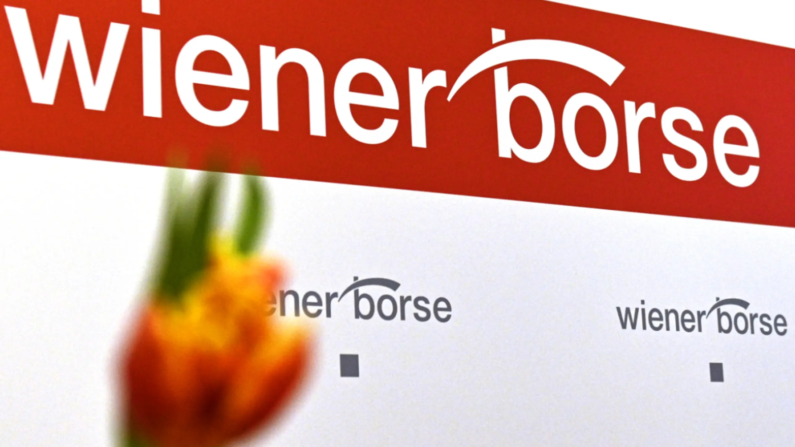 Börse Wien mit Verlusten