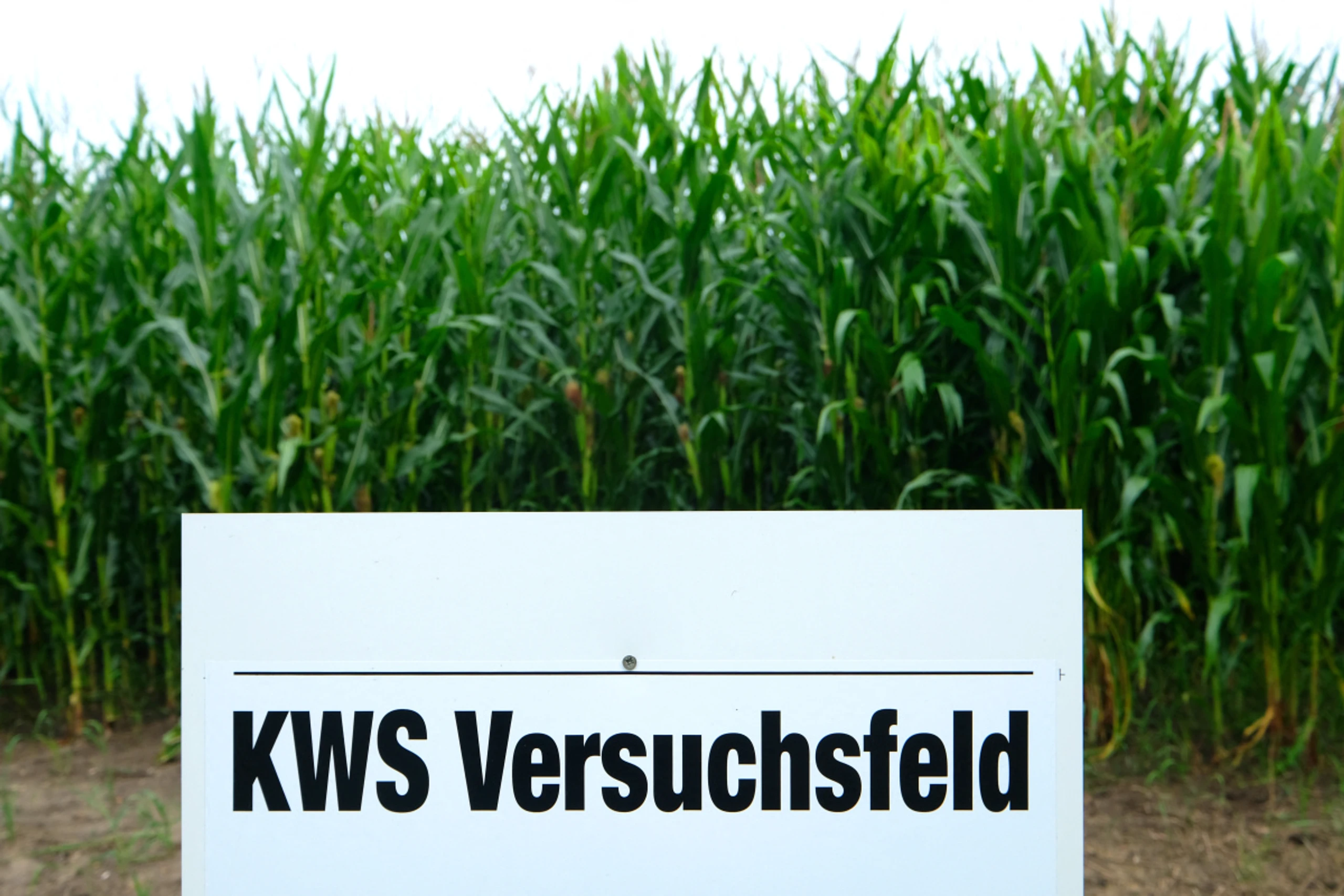 KWS profitierte von früheren Auslieferungen