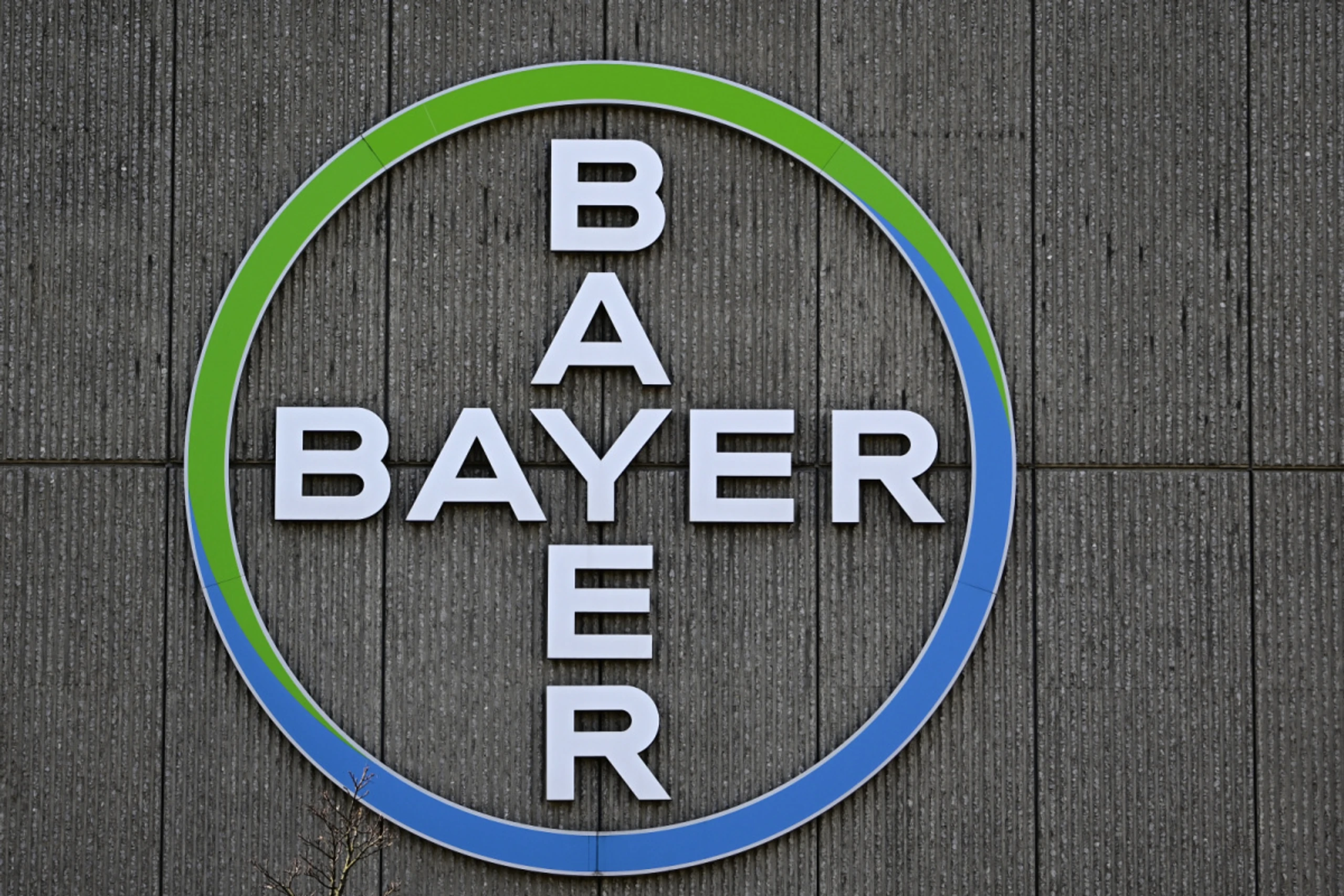Bayer mit guten Geschäften rund um Soja- und Mais-Saatgut