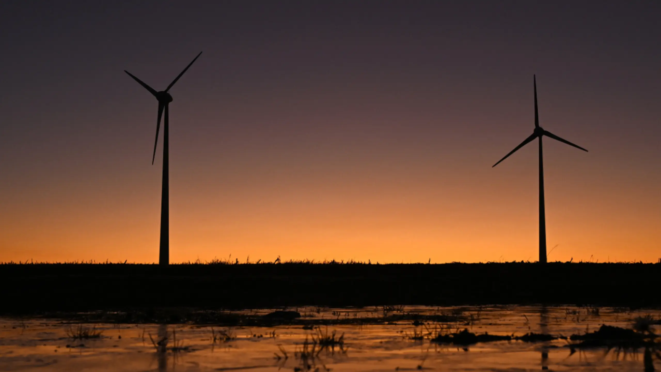 Wind & Co. schieben an