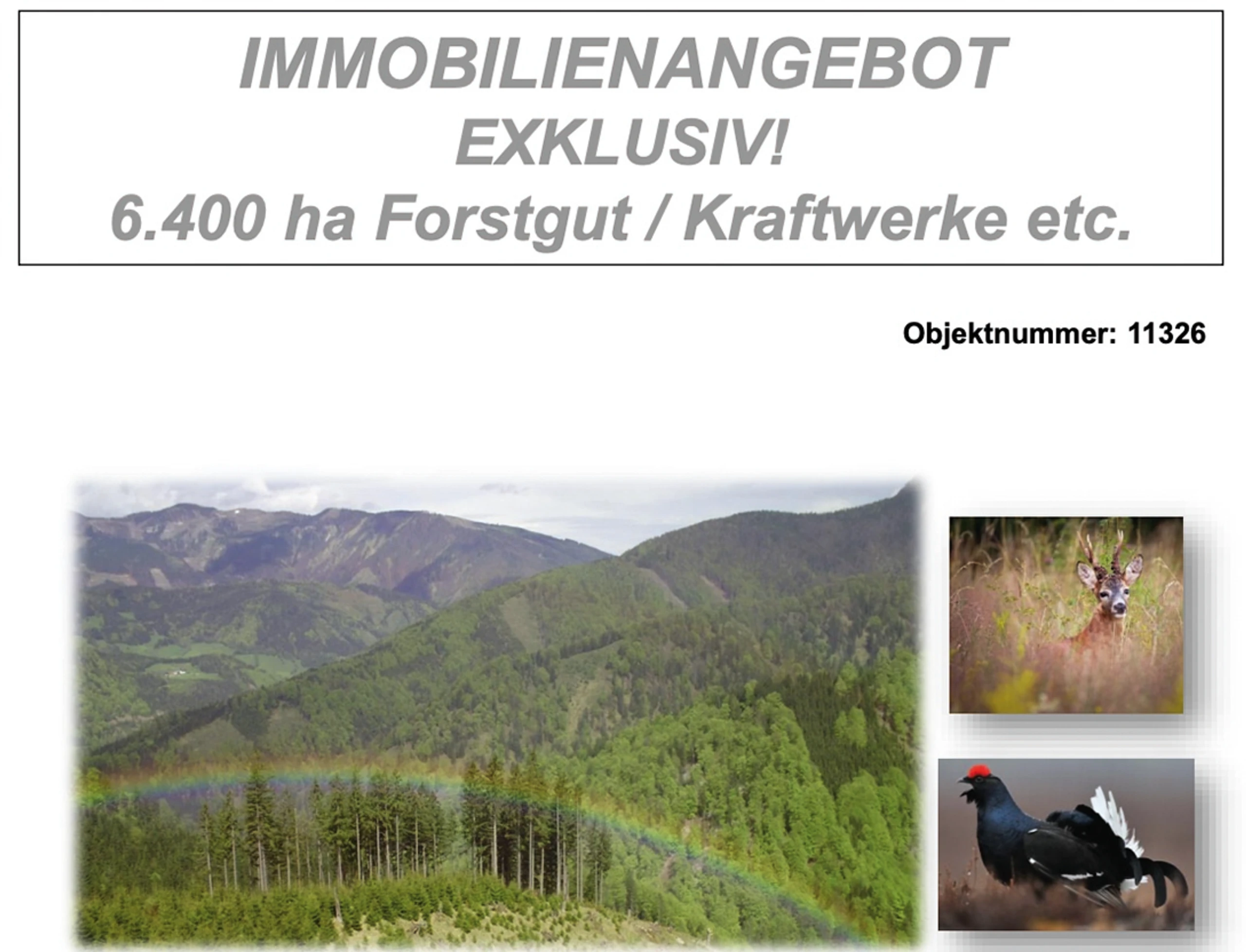 Blurred image background