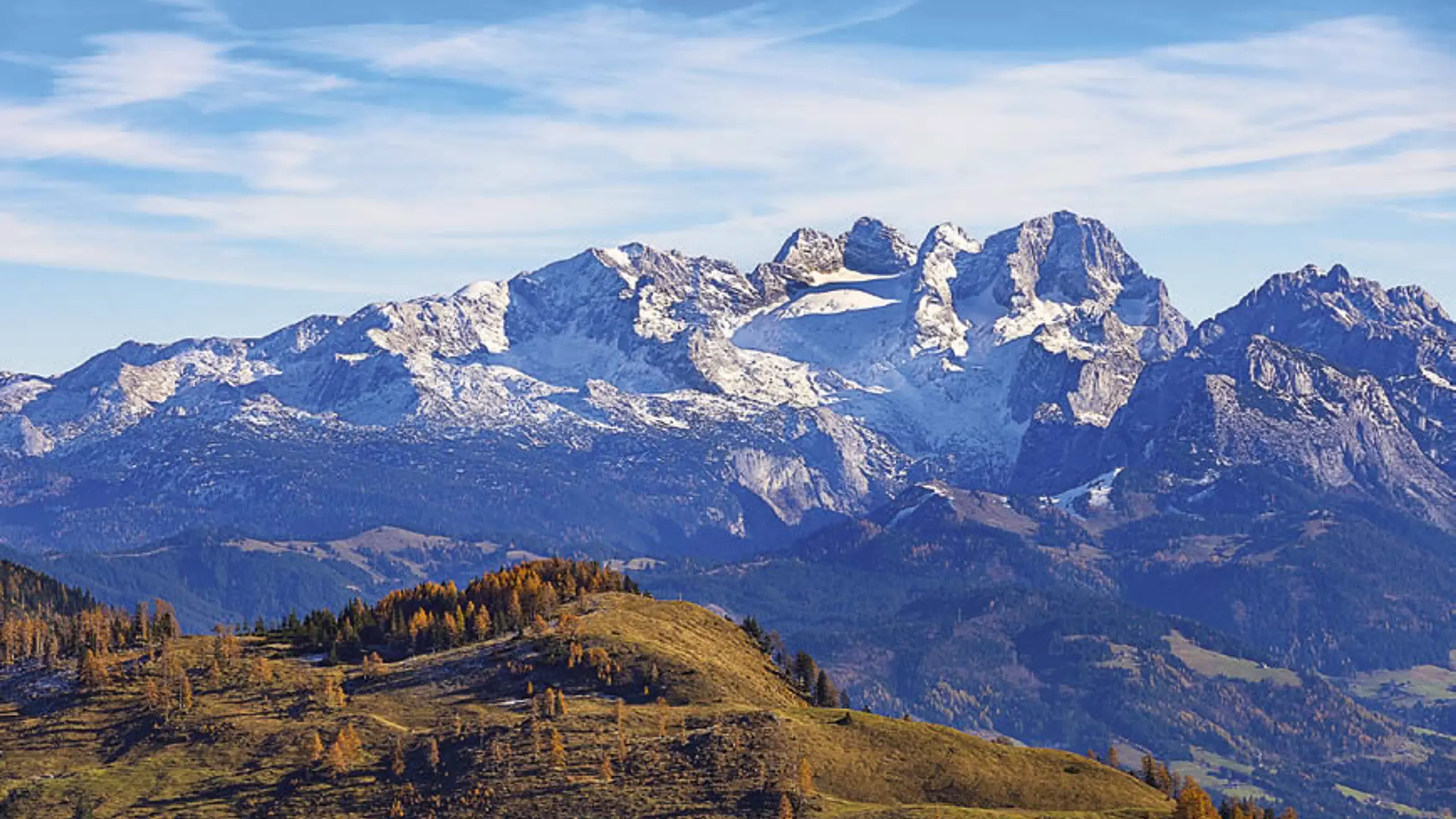 © APA-Images/imageBROKER/Wolfgang Weinhäupl Artikelbild