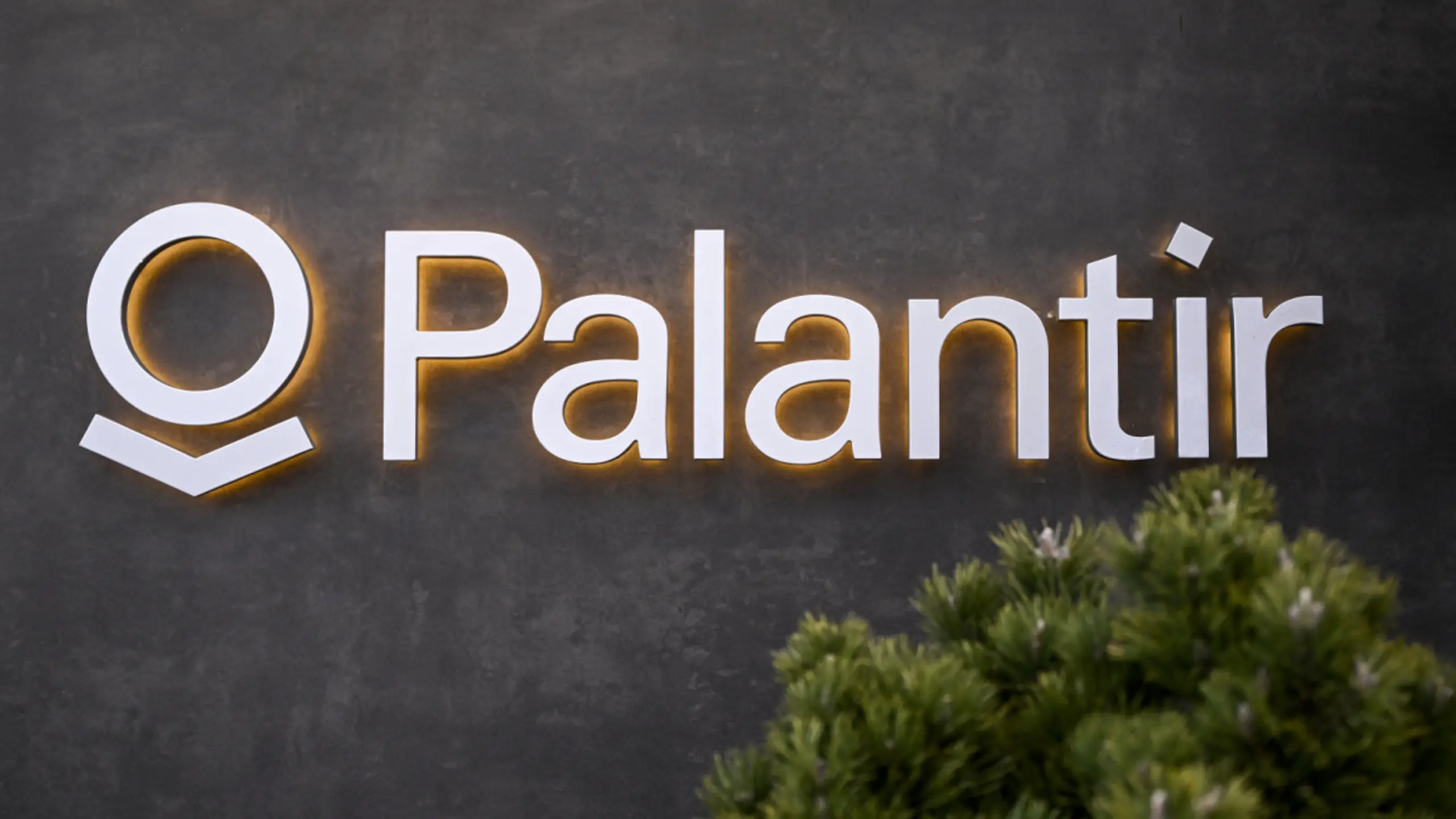 © AFP, INA FASSBENDER, Apa Palantir kritisierte die Entscheidung