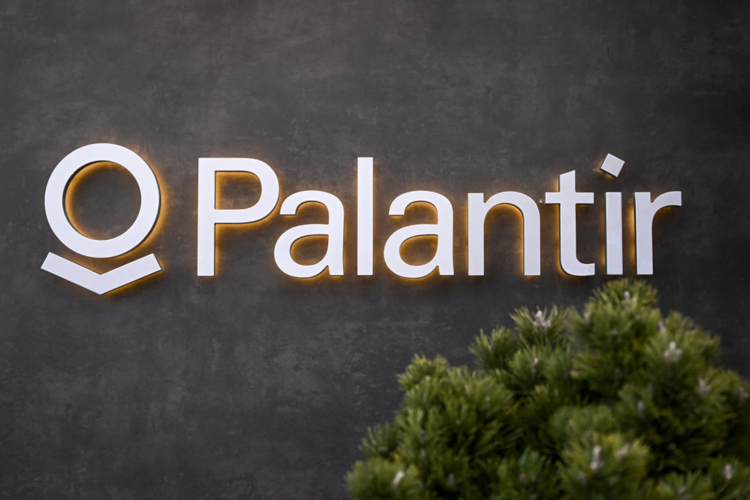 Palantir kritisierte die Entscheidung