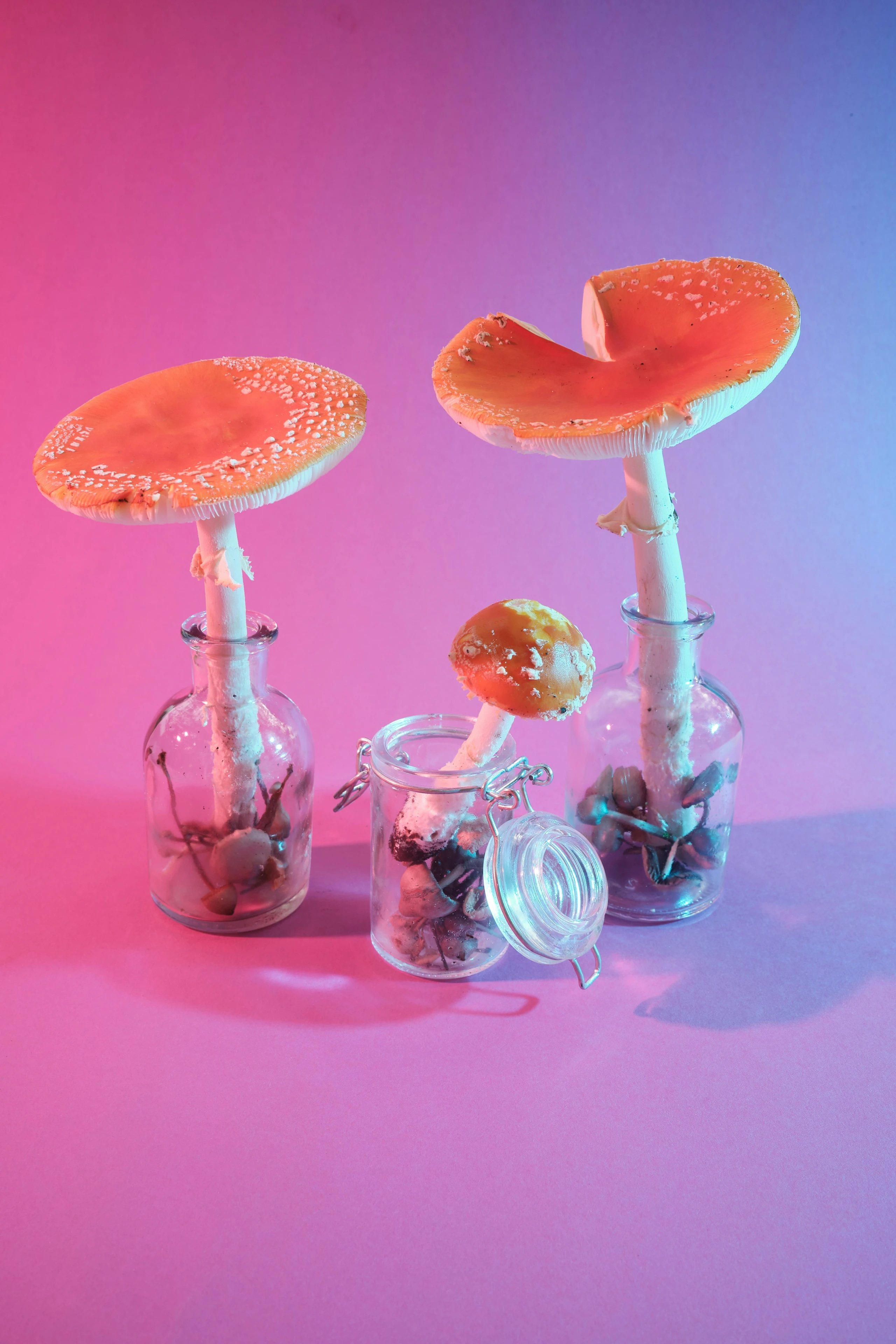 Business-Trip:  Microdosing am Arbeitsplatz