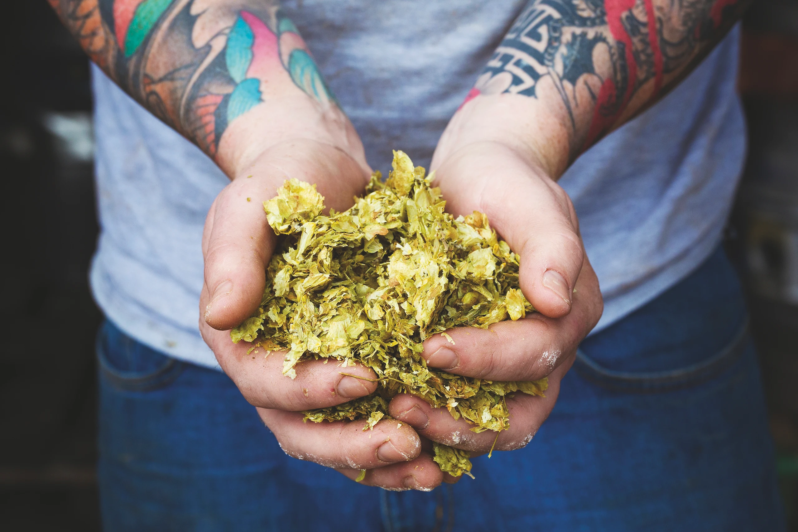 Warum so viele österreichische Craft-Beer-Brauereien einfach verschwunden sind