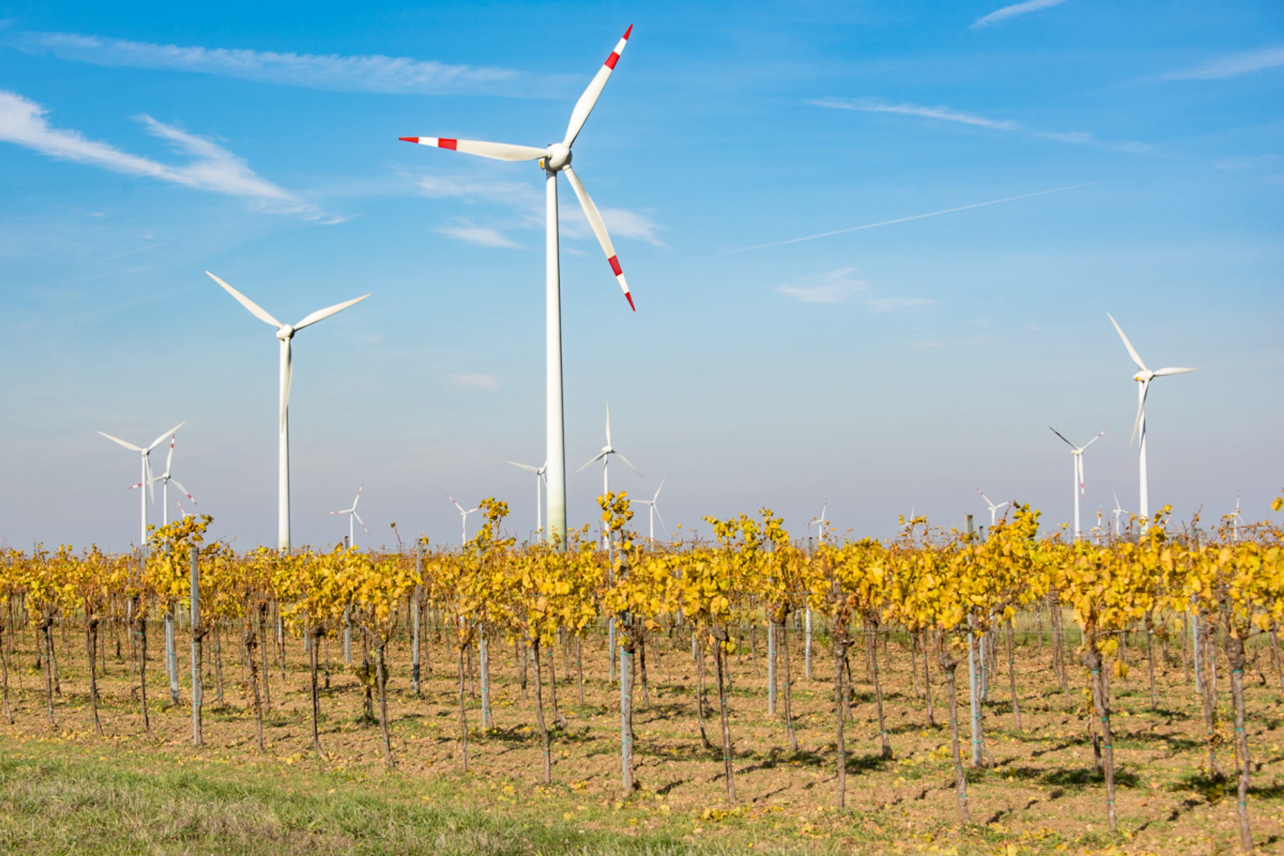 Beteiligungserträge vor allem aus der Burgenland Energie