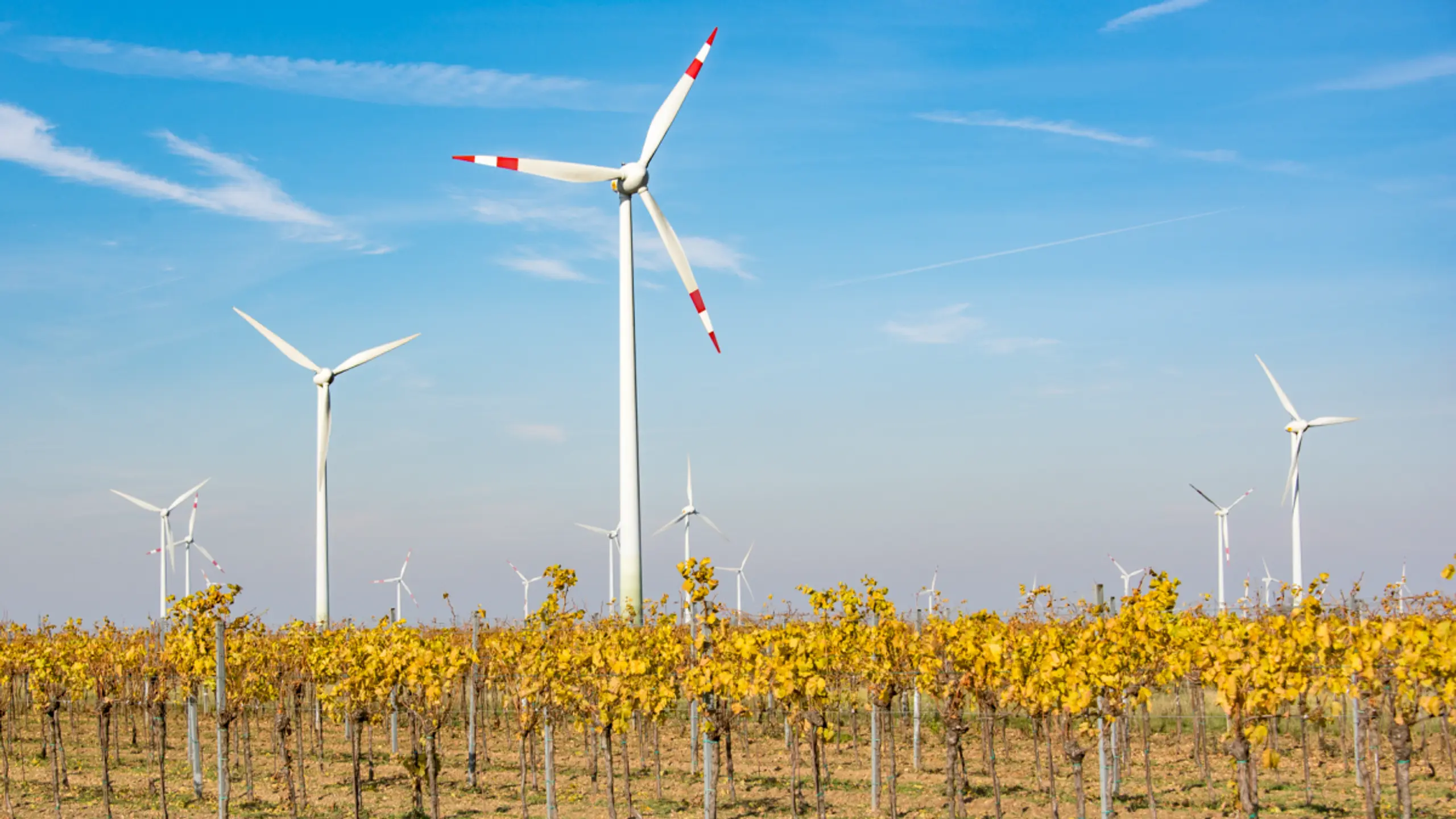 © Burgenland Energie, Apa Beteiligungserträge vor allem aus der Burgenland Energie