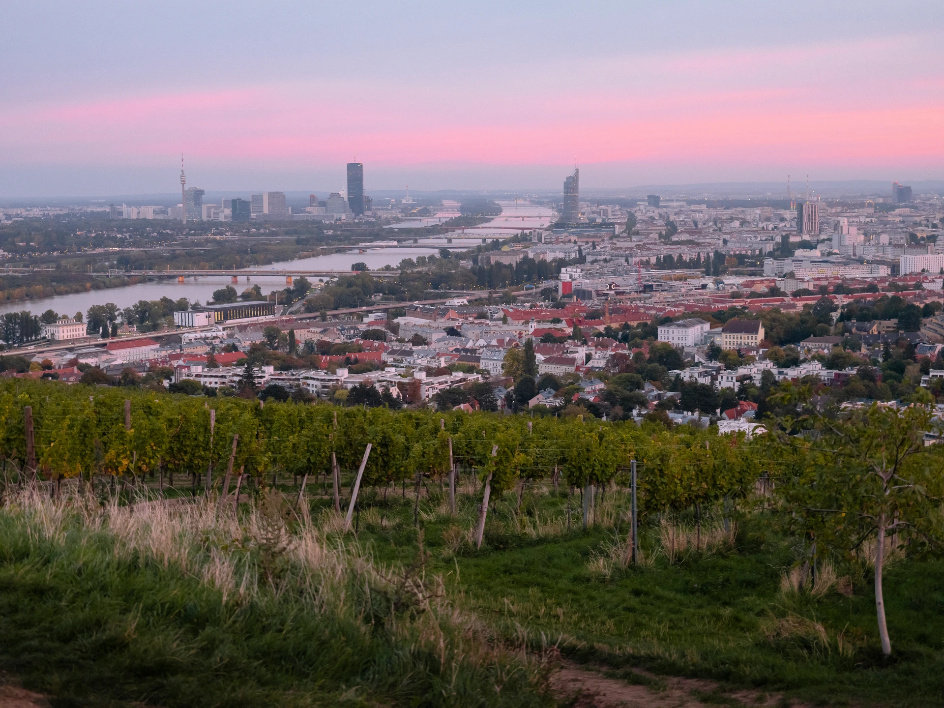 weinwanderwege-wien-2026-5-sch-ne-routen-mit-heurigen