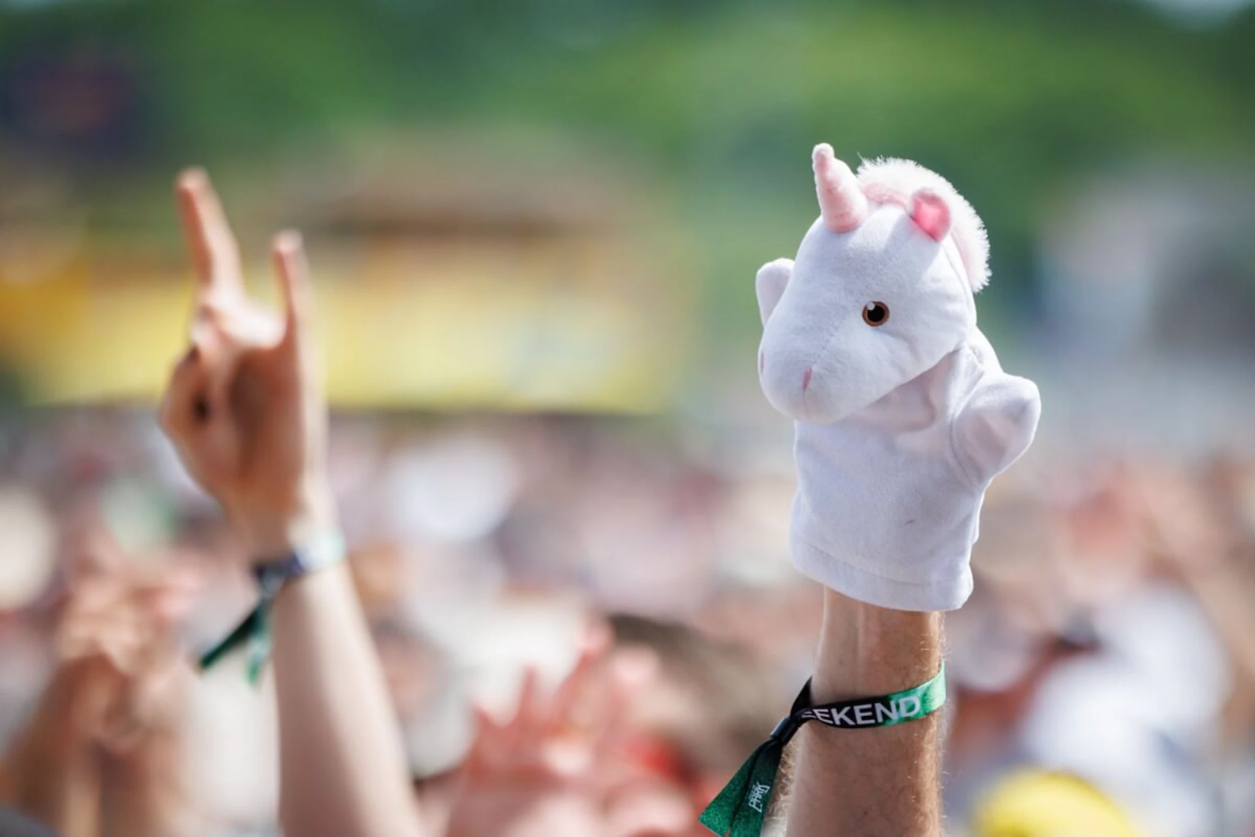 Rock am Ring und Rock im Park mit Massenandrang