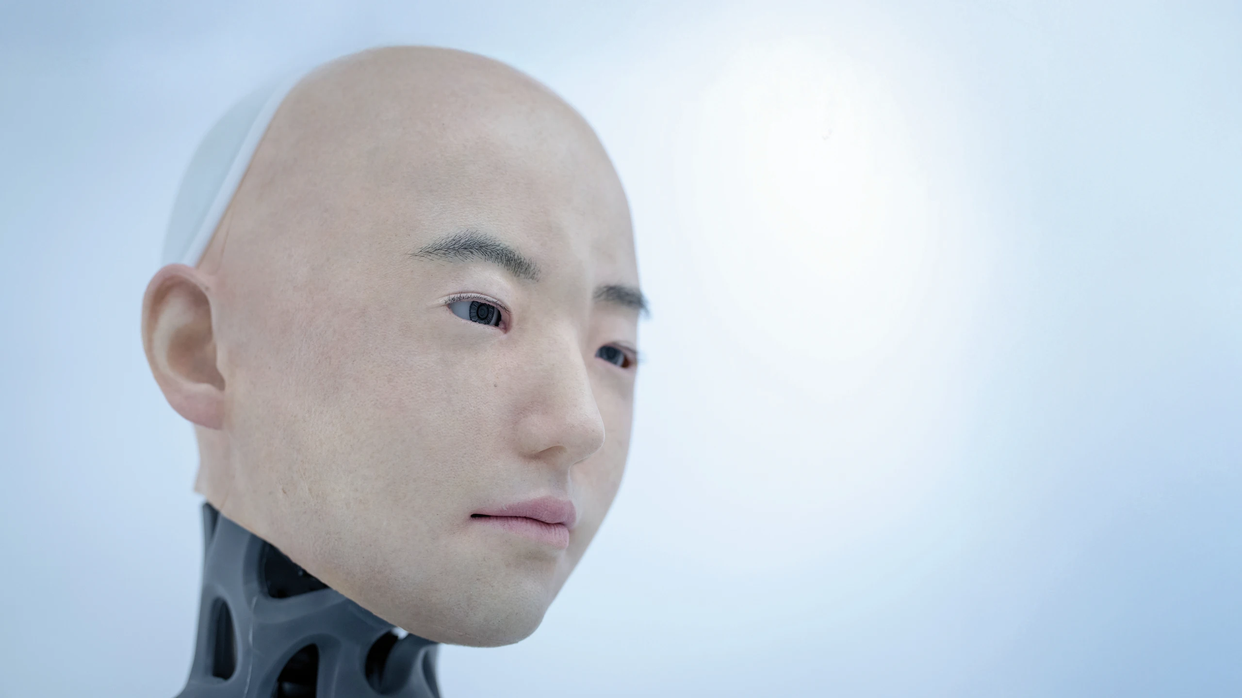 Humanoide Roboter: Maschinen als Mitbewohner